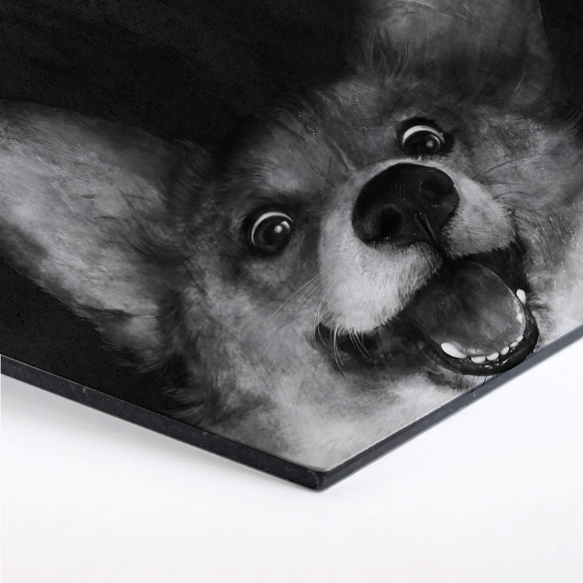 Esagoni Alu-dibond Graves - Fox Corgi