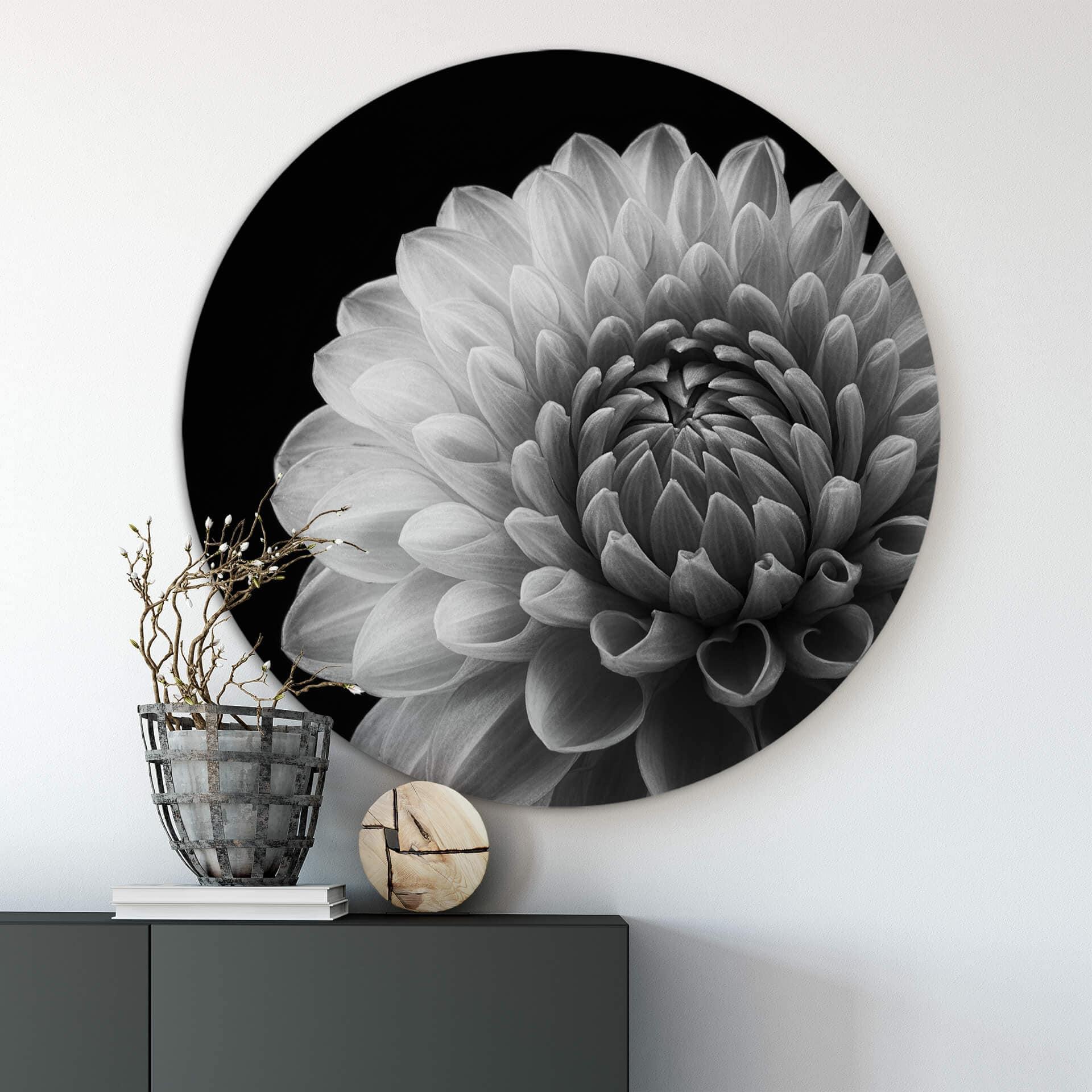 Wandcirkel Alu-Dibond Grønkjær - Dahlia