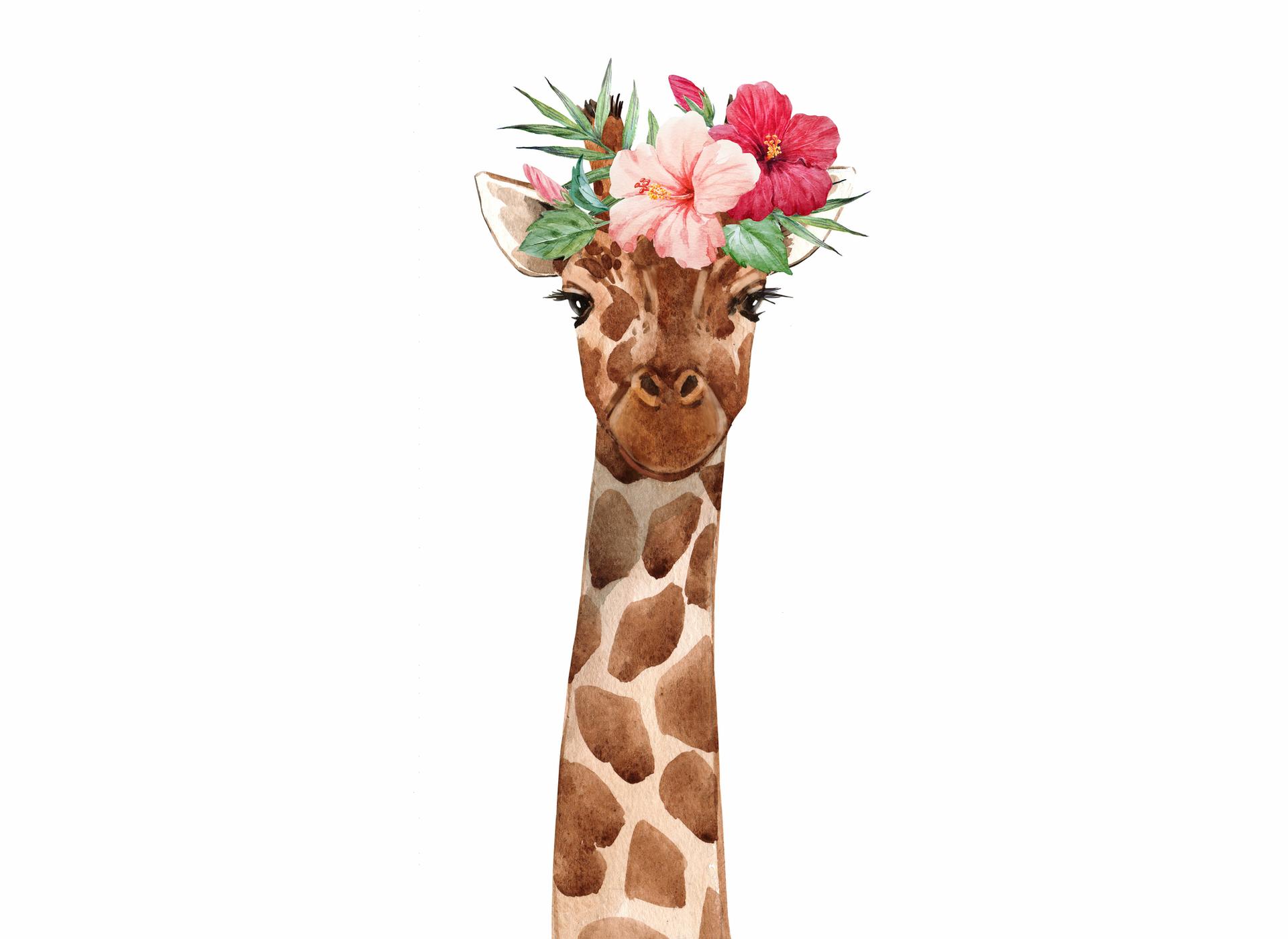 Babykamer giraffe portret behang wit bruin - vliesbehang Designwalls 2 - 2,55 x 3,5 m