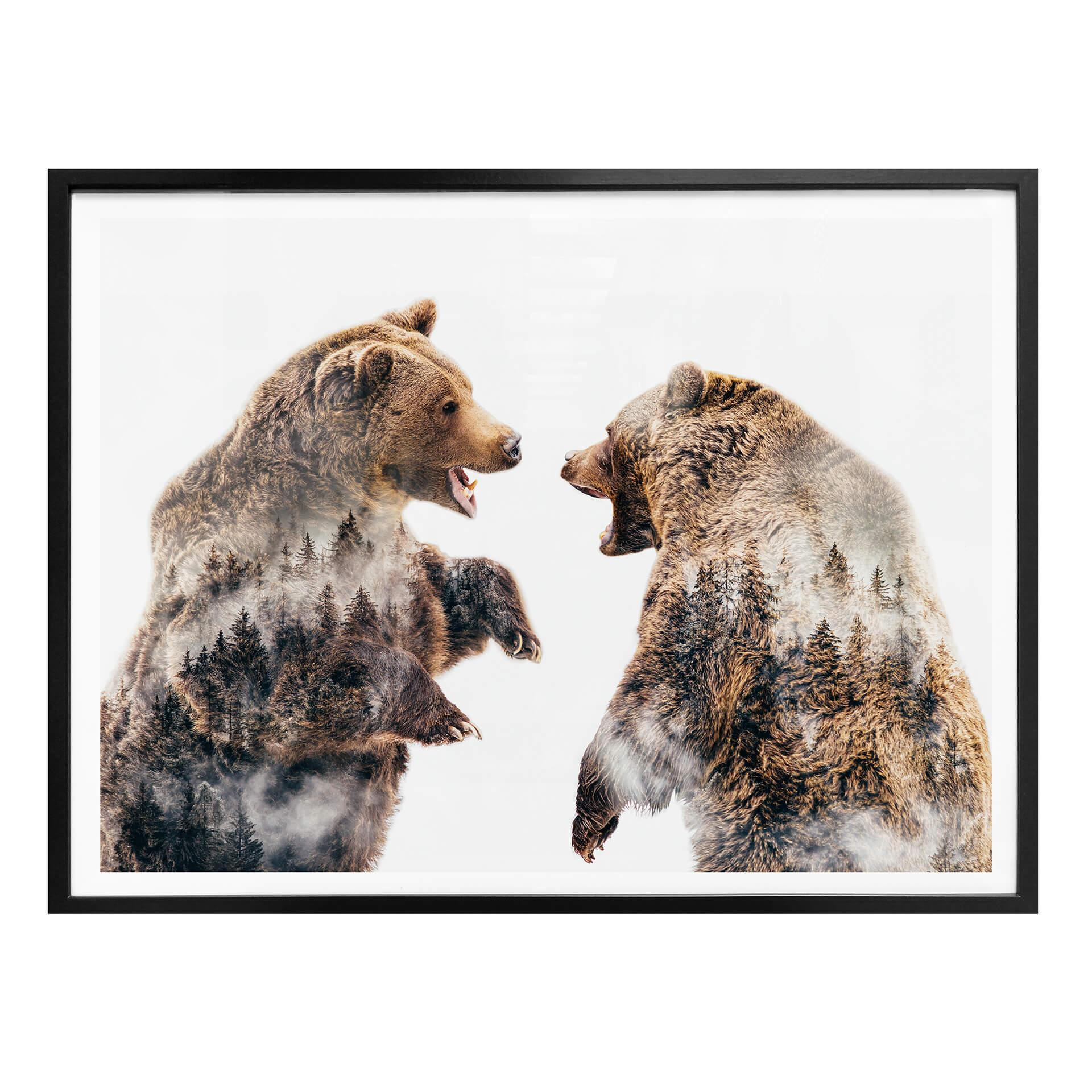 Plakat - Angyalosi - Vild konflikt