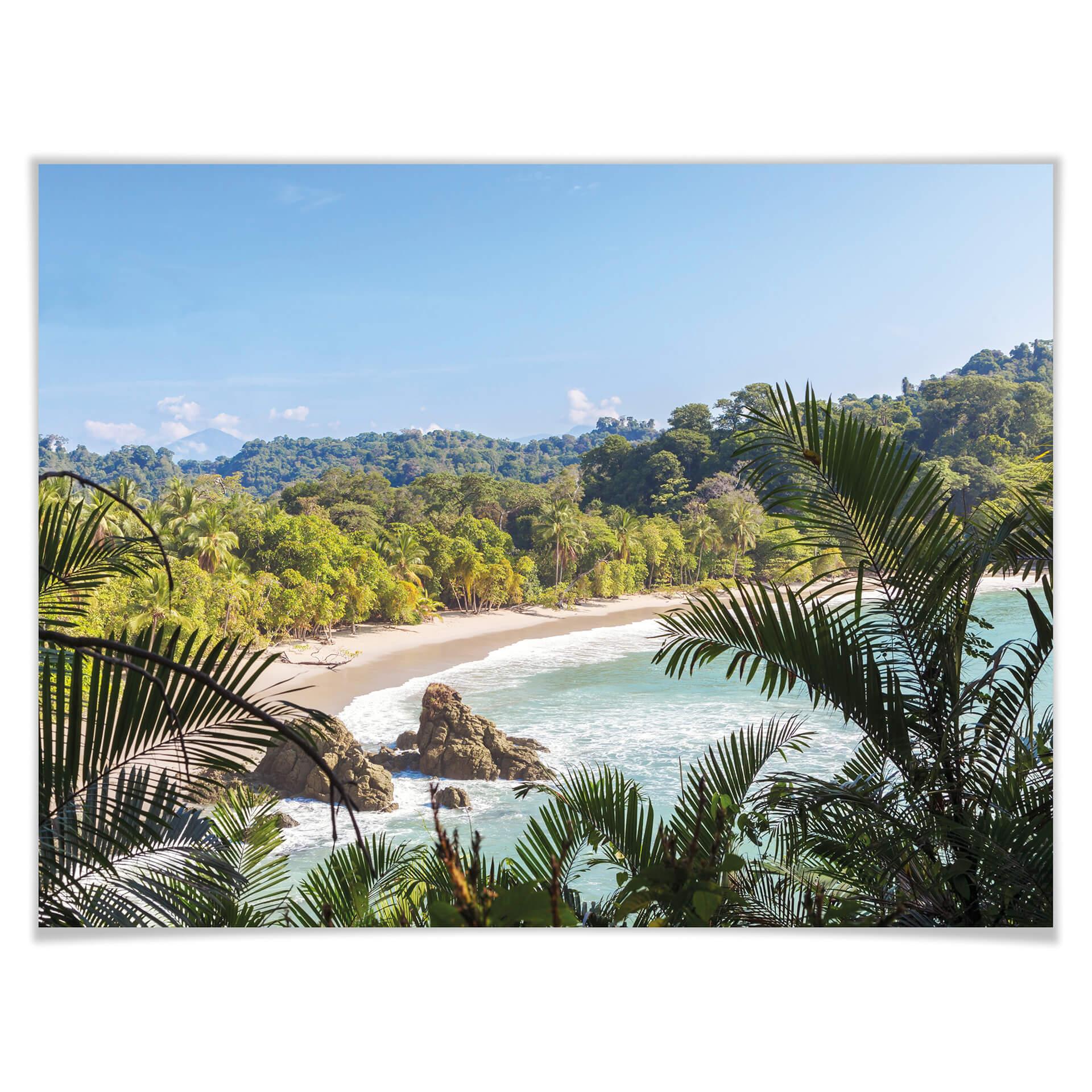 Póster Colombo - Vista de la selva en Costa Rica