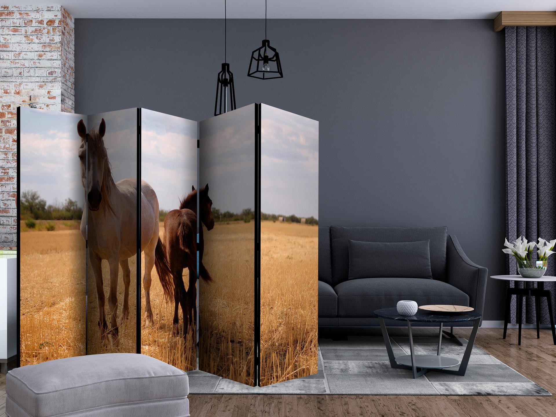 Divisorio - Cavallo e puledro , 5 pezzi - 225x172 cm
