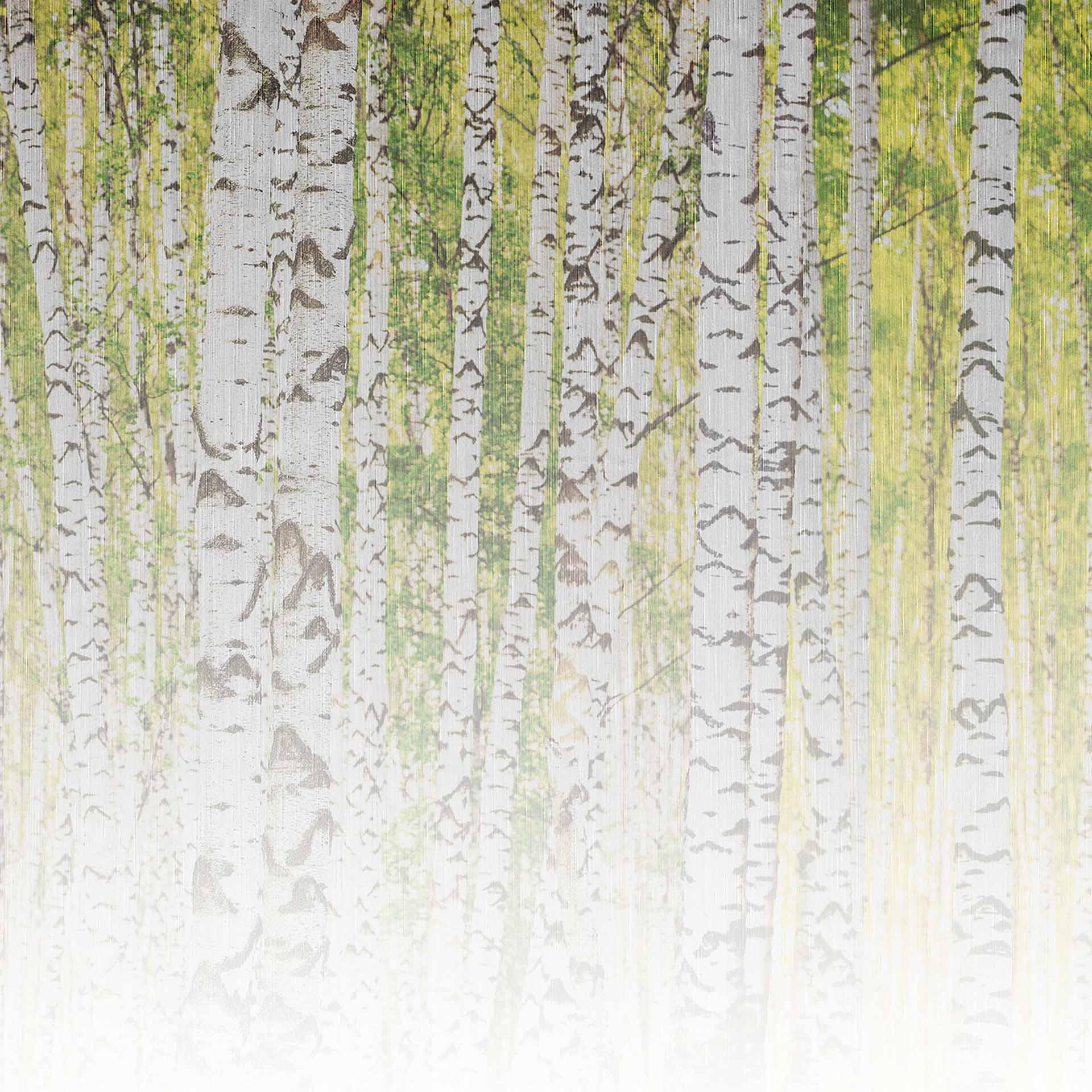 BirchForest2 berkenbos behang in grijs wit - vliesbehang Designwalls 2 - 2,55 x 3,5 m