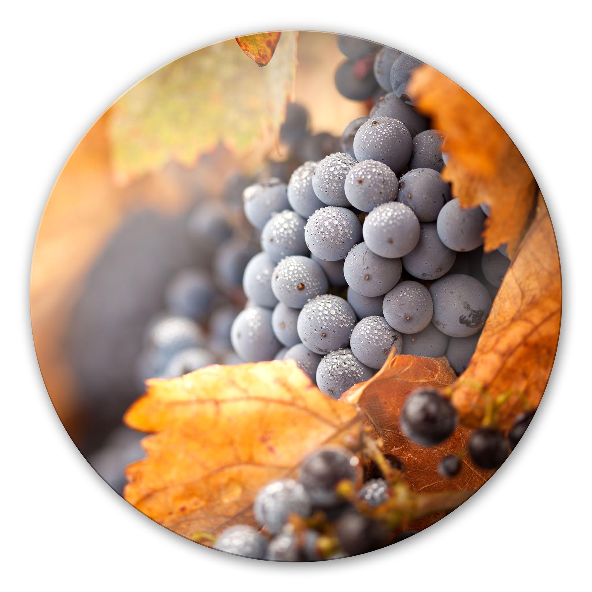 Glasschilderijen Herfstwijn - rond