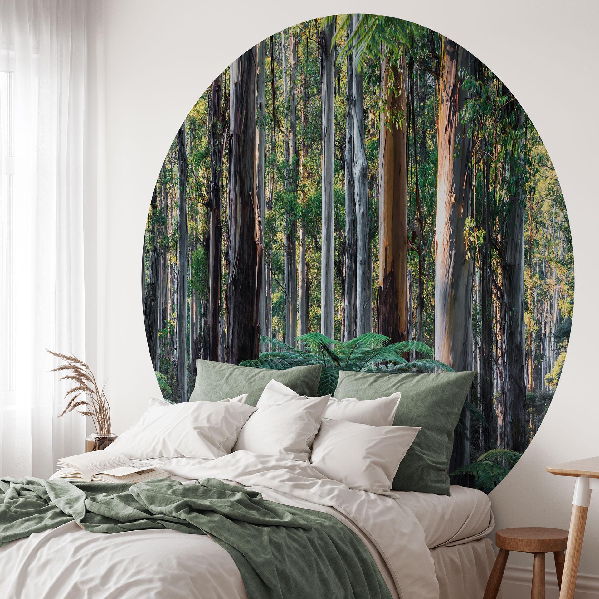 Las eukaliptusowy w Yarra Ranges | Fototapeta leśna - Colombo - Round - tapeta flizelinowa/tapeta fl
