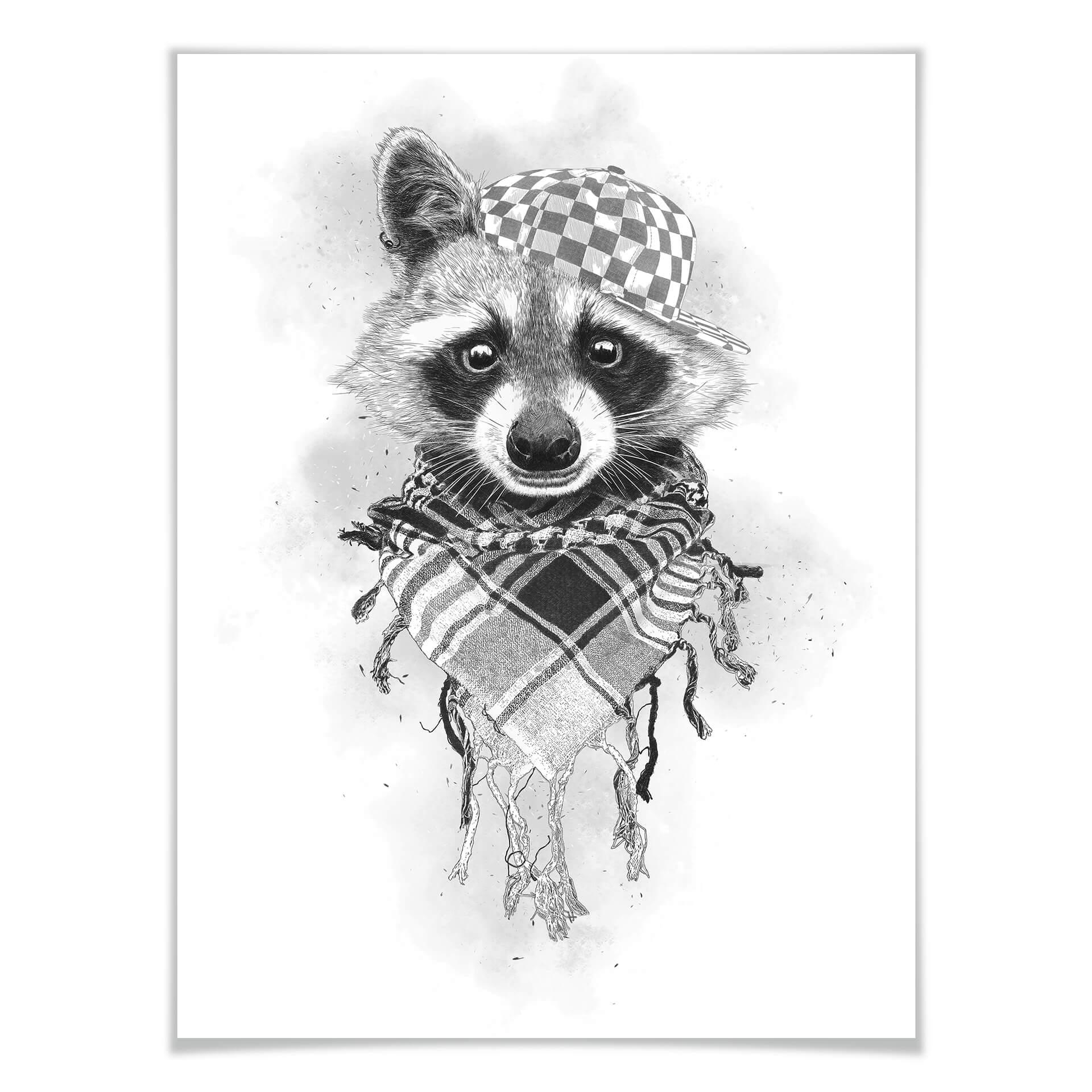Plakat Kools - Rocco Raccoon