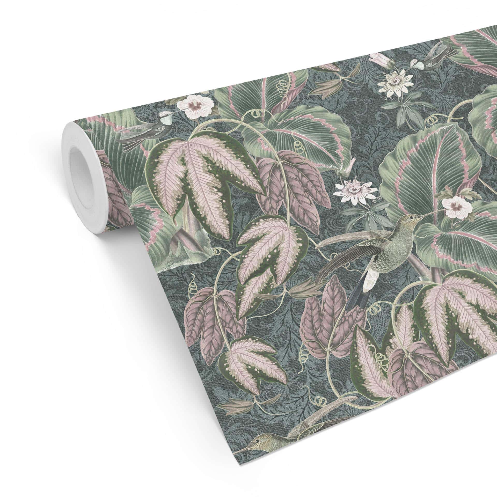 Tapet med mønster kolibrier i en tropisk skov | jungletapet - Bloomery Decor