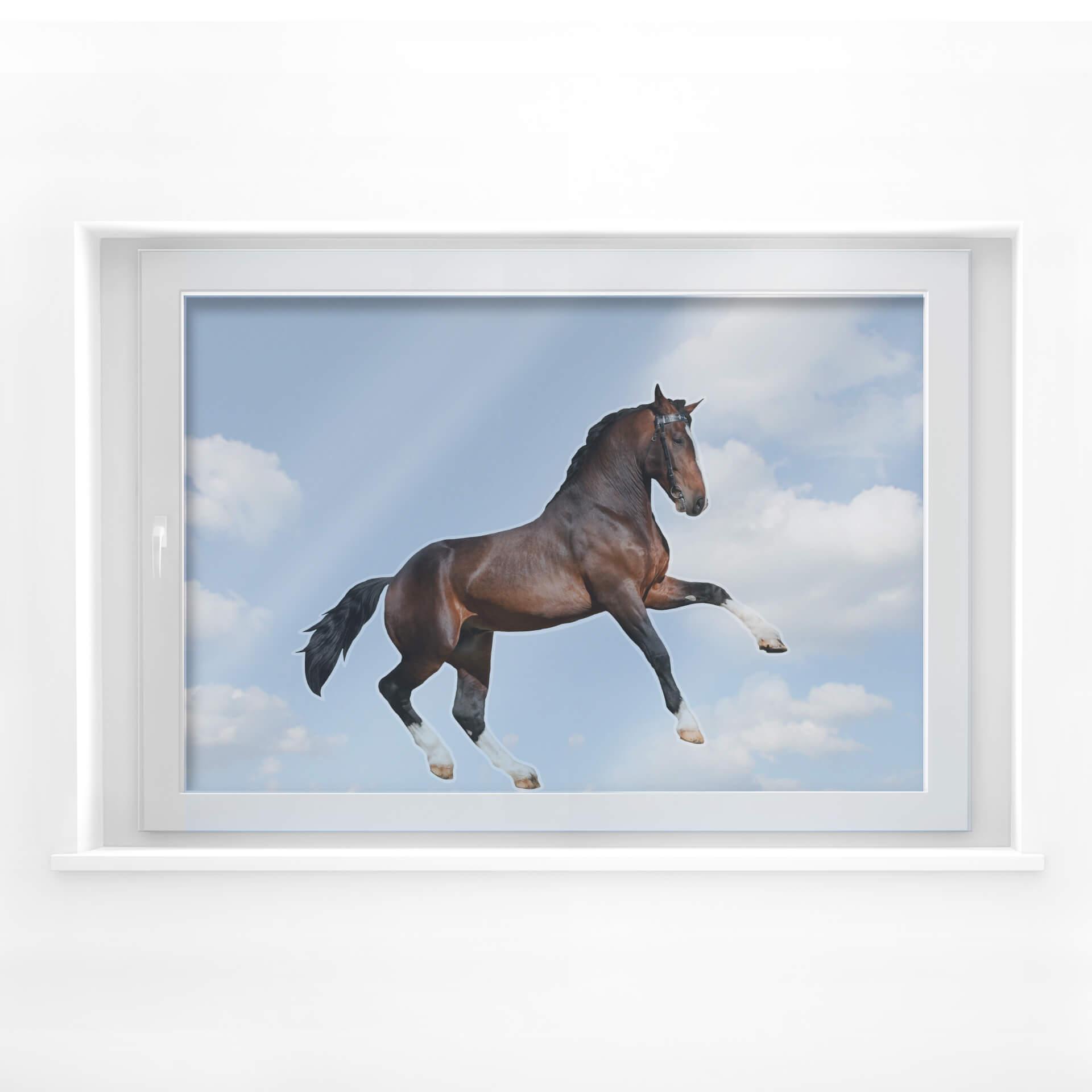 Cuadro de ventana Actuación real Caballo