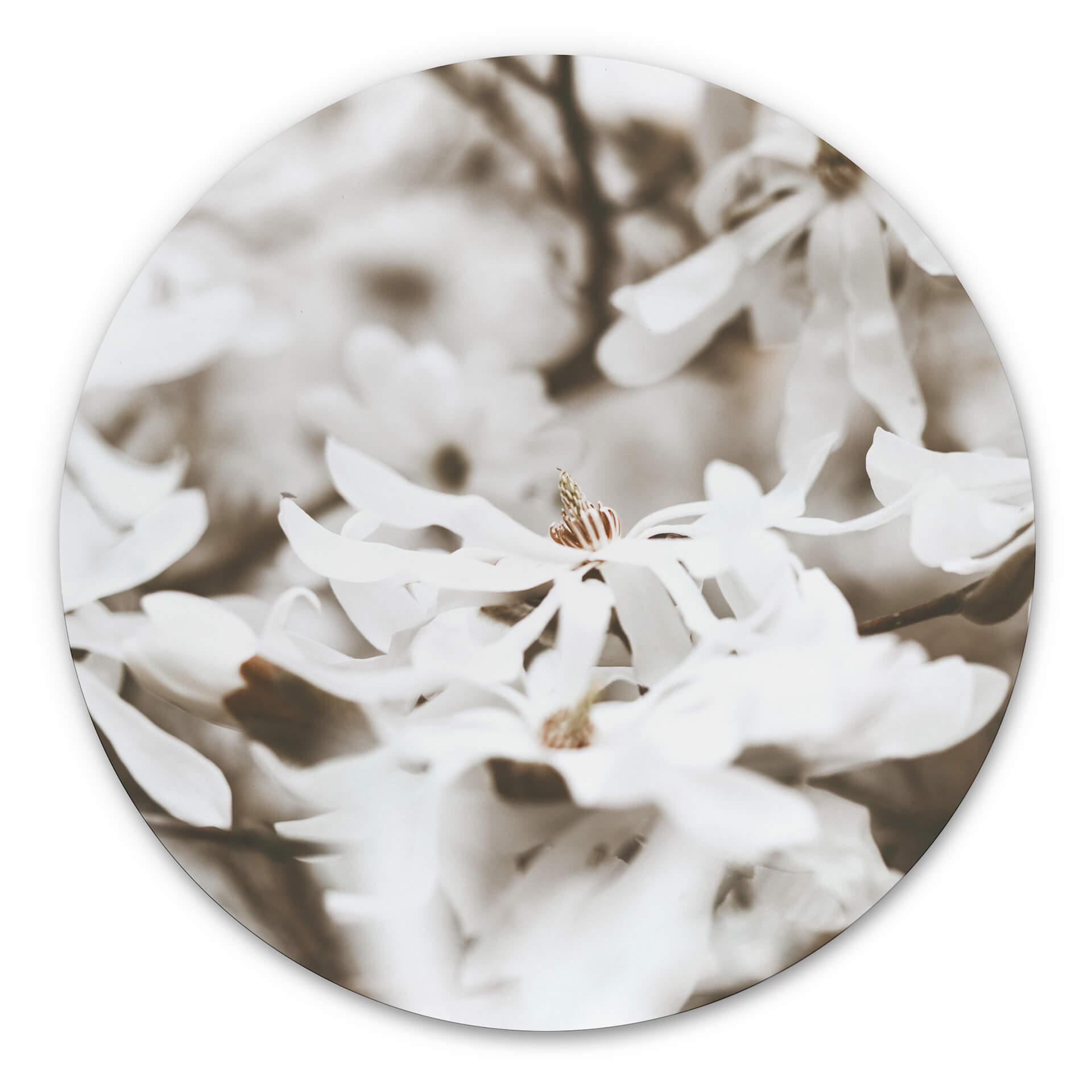 Tableau sur alu-Dibond Annie - Jasmin - Rond