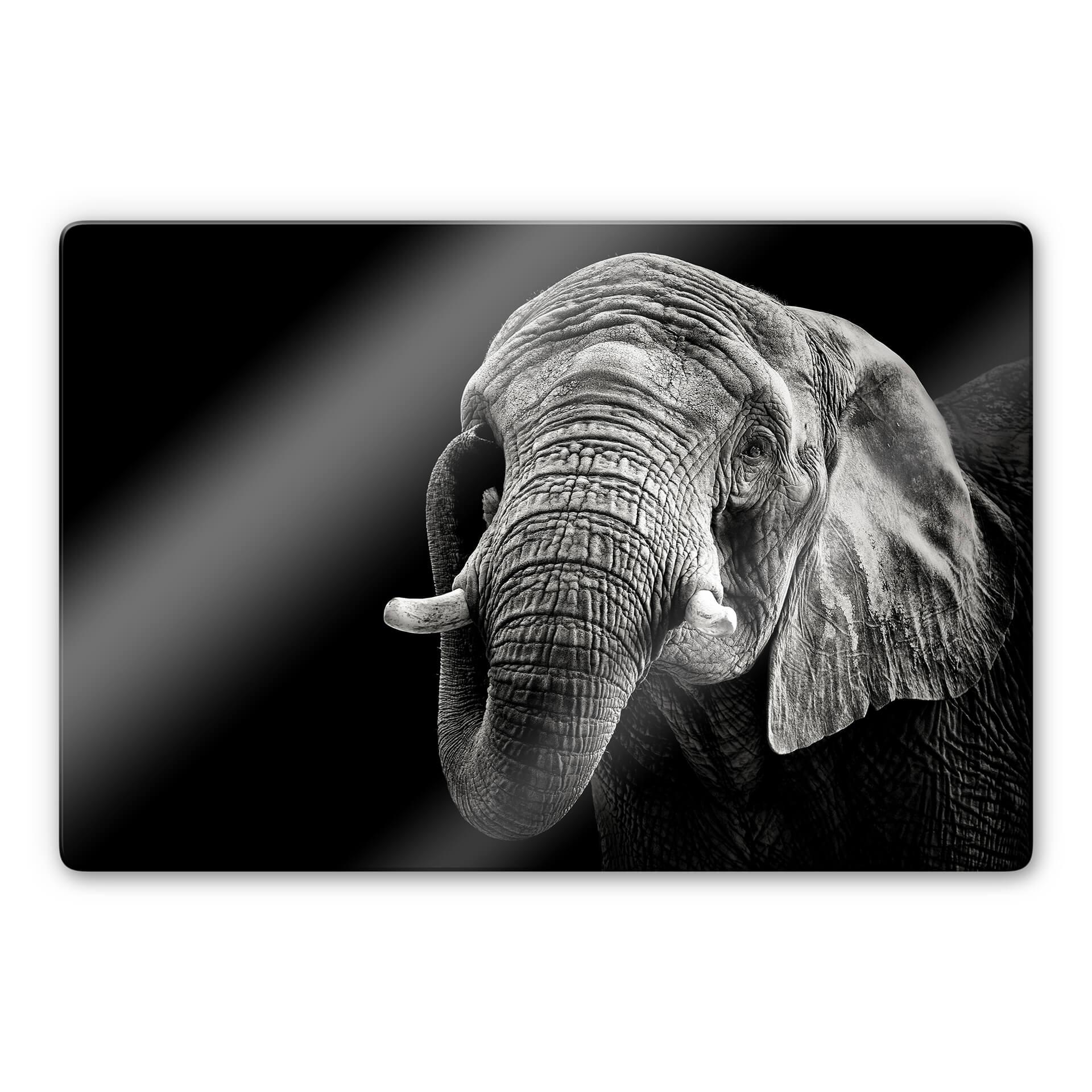Glasschilderij Meermann - De Olifant