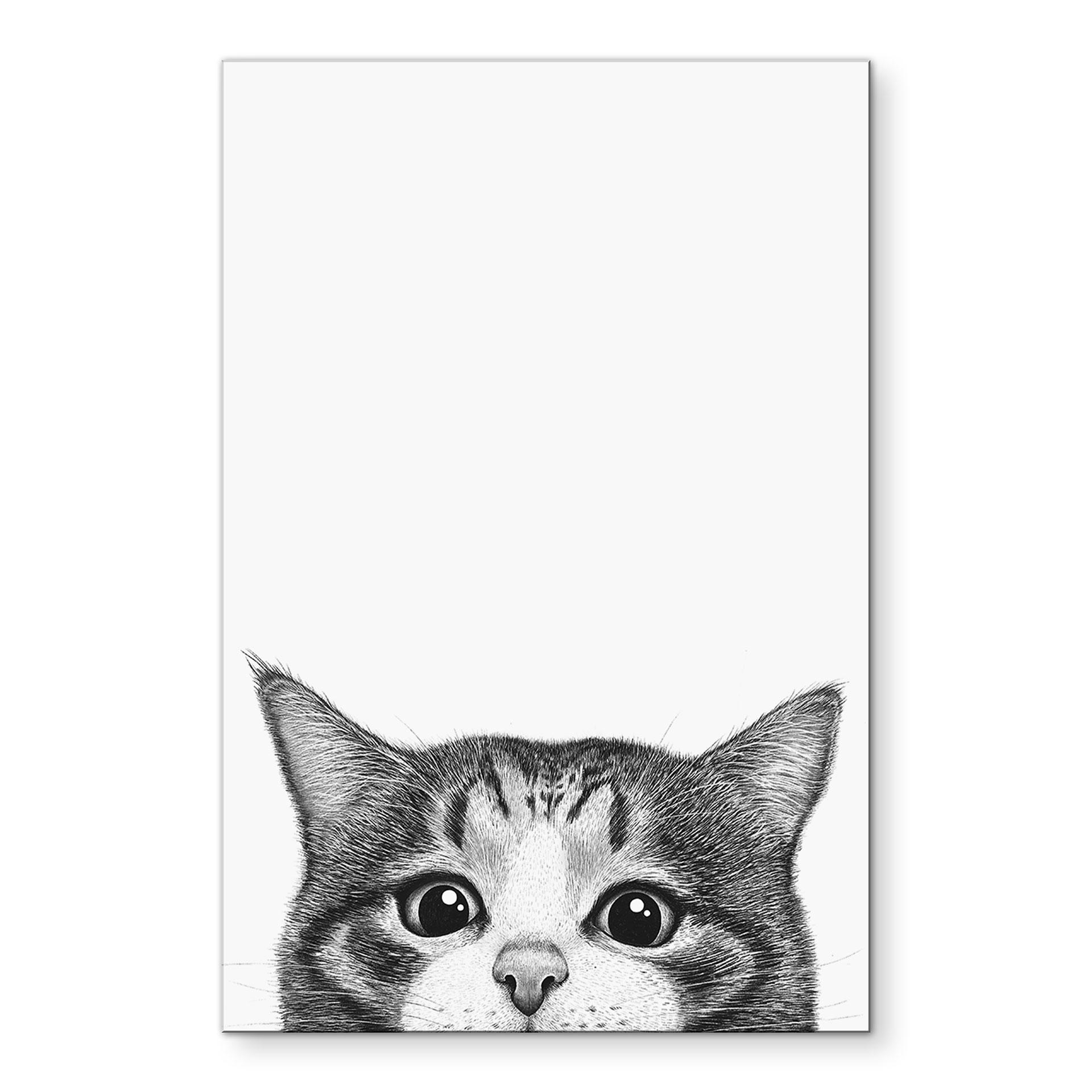 Fototapet Nysgerrig kat - Korenkova – print på aluminium (Alu-Dibond)