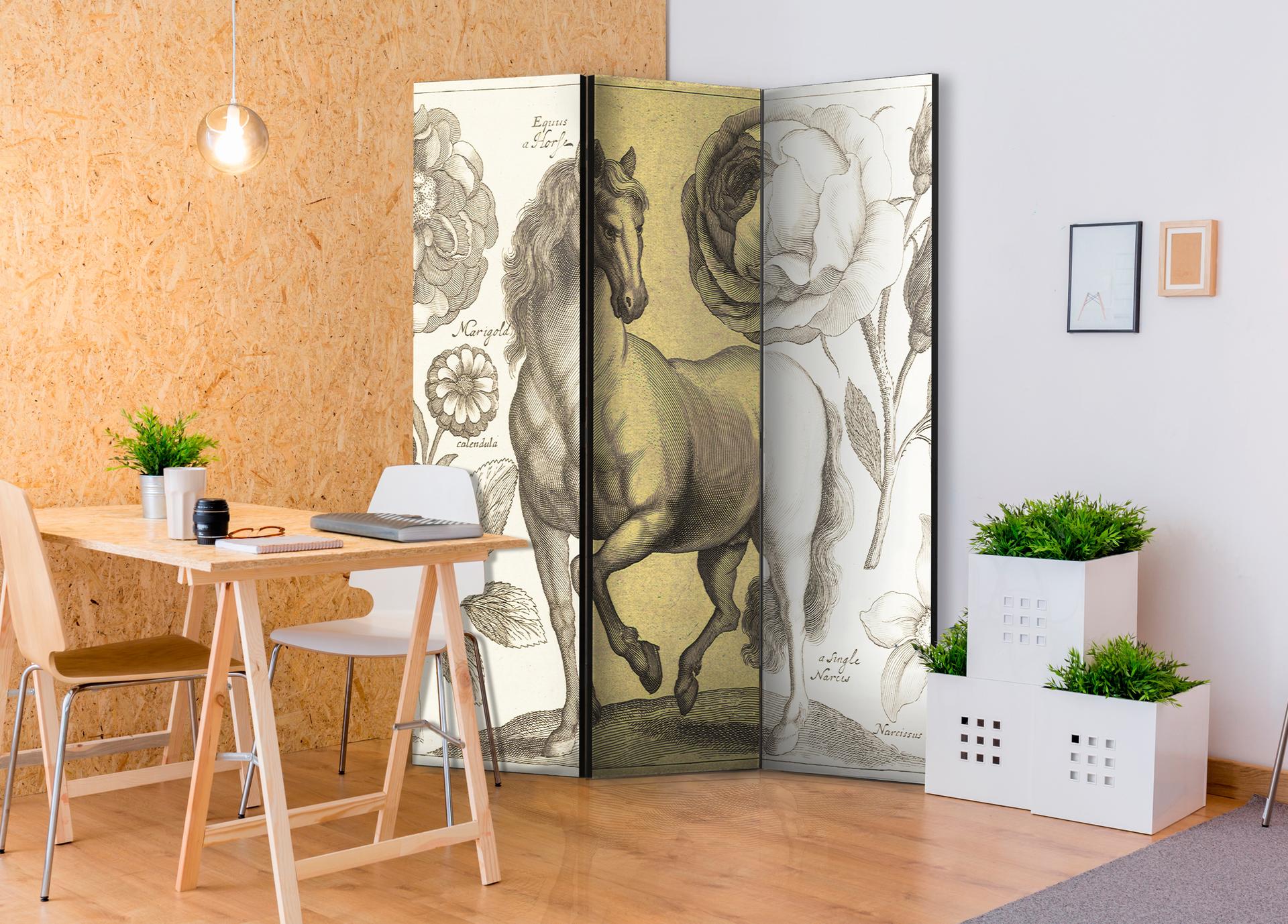 Schermo divisorio - Cavallo, 3 pezzi - 135x172 cm