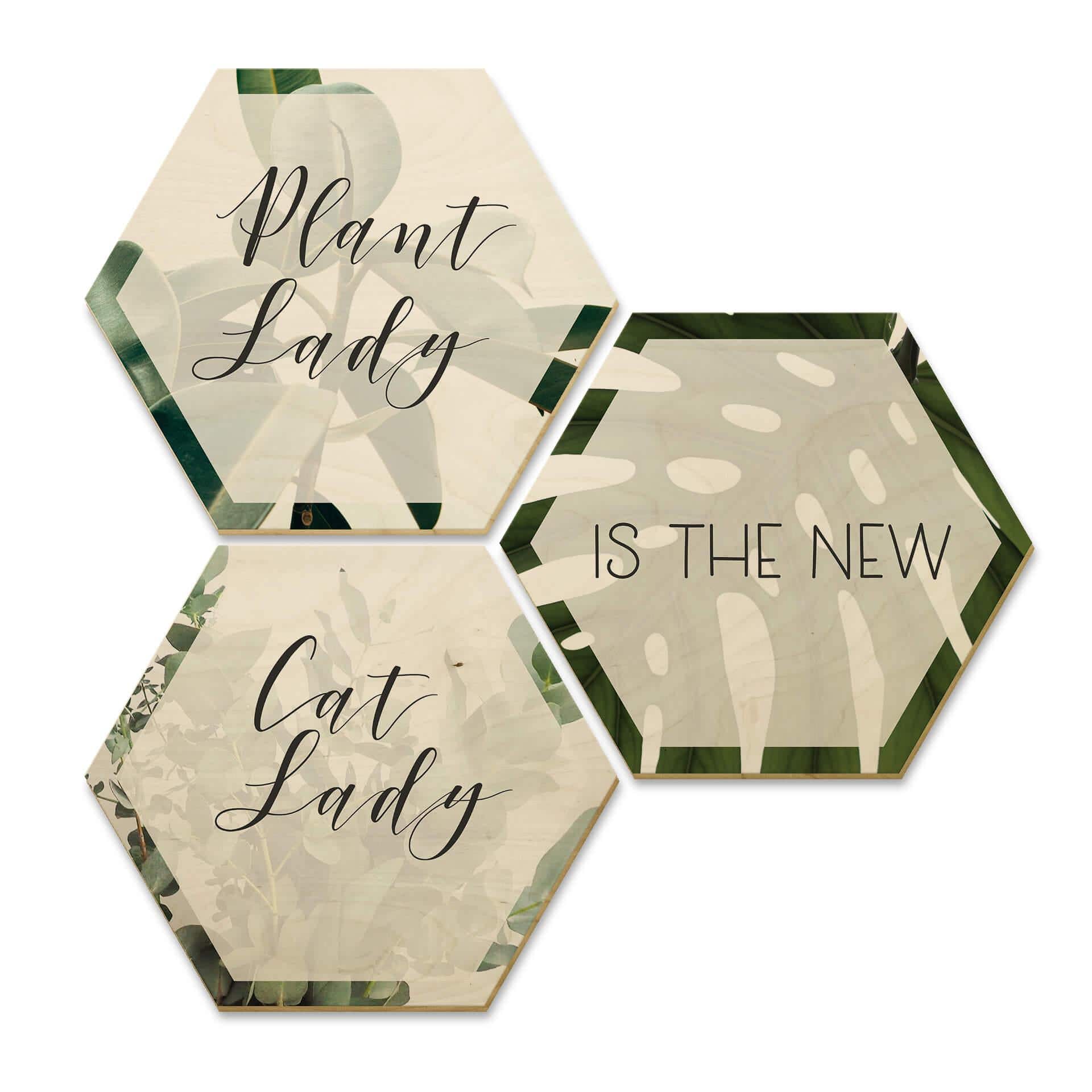 Hexagone - Bois placage de bouleau - Plantlady is the new Catlady (Set de 3)