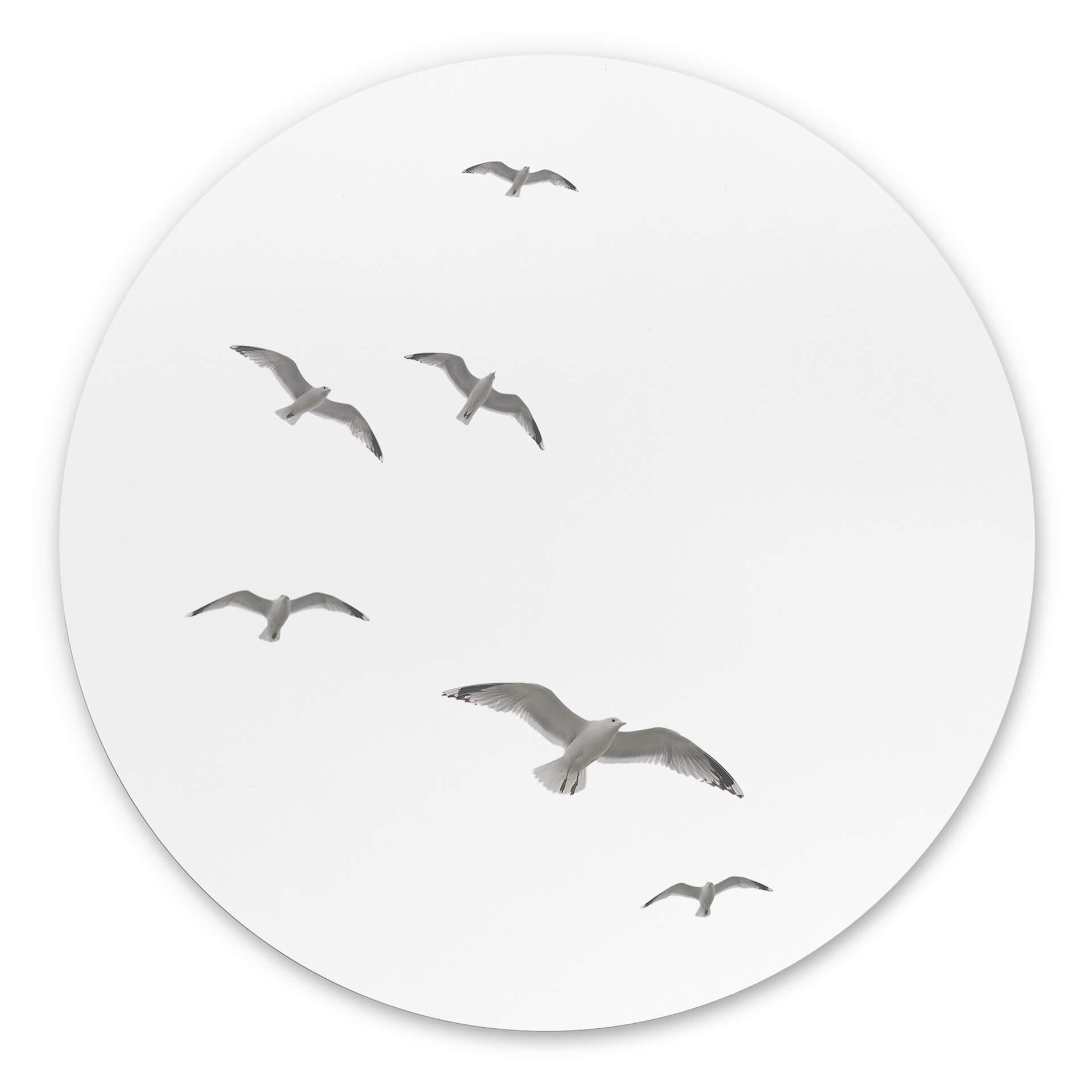 Tableau sur alu-Dibond rond Mouettes dans le ciel