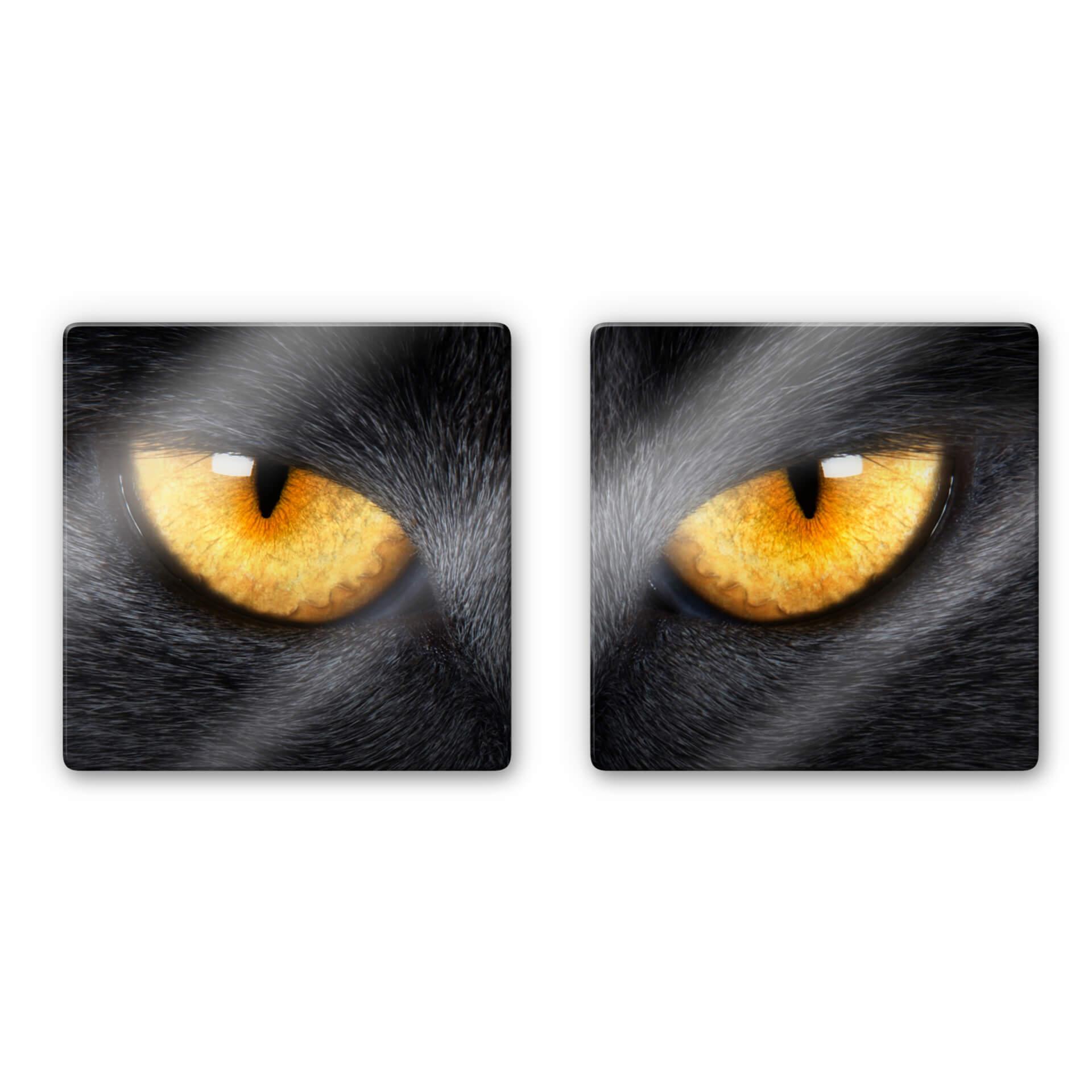 Tableau en verre - Yeux de chat (2 parties)