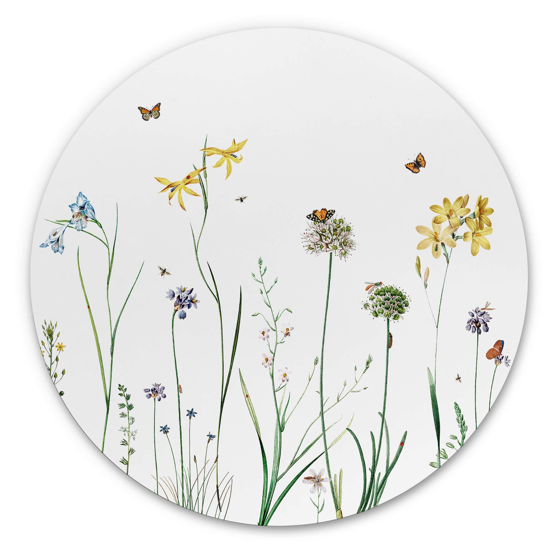 Tableau sur alu-Dibond rond Sir Edward - Prairie aux papillons