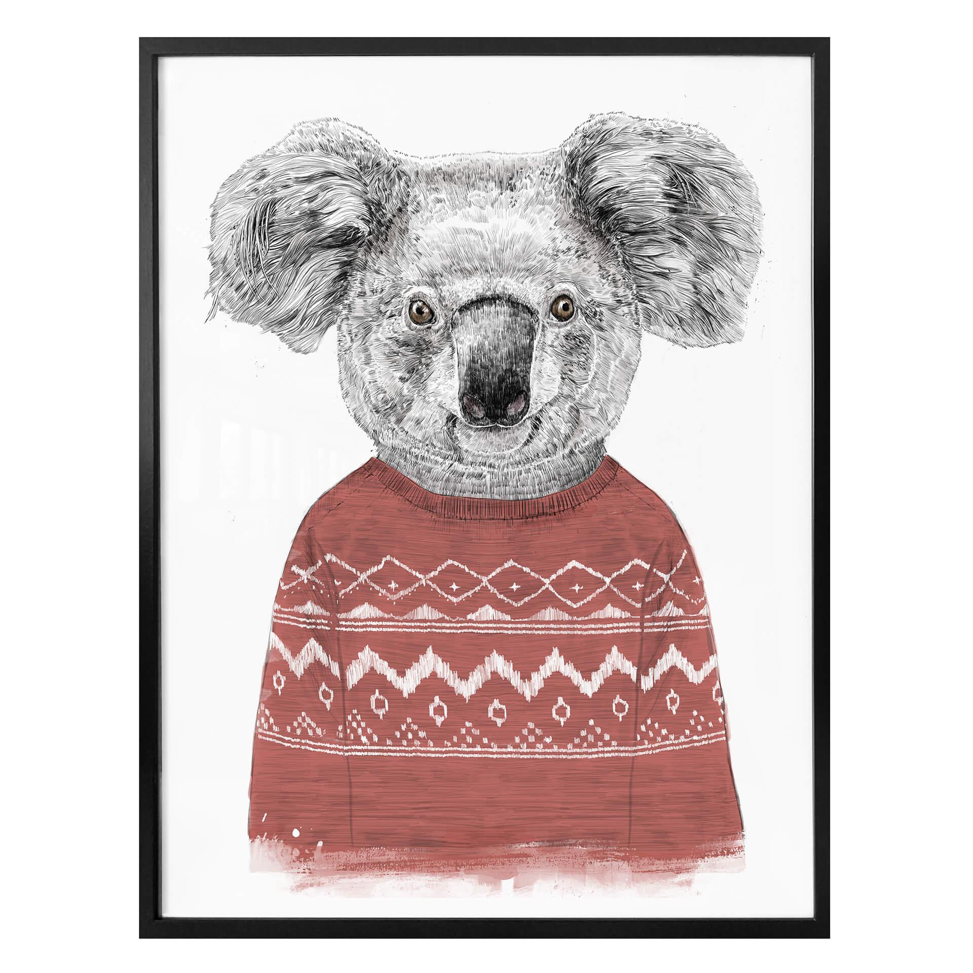 Plakat - Solti - Koala om vinteren
