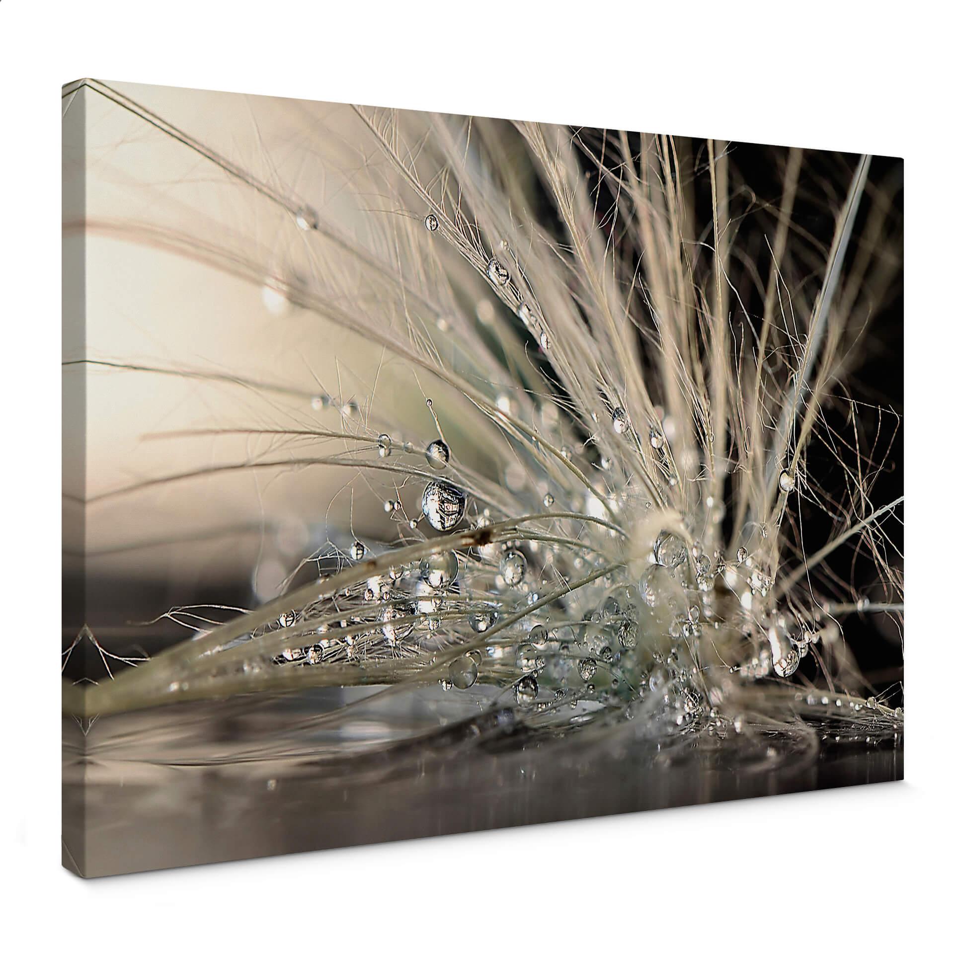 Canvasbillede - Zahirimehr - Story of a Waterdrop