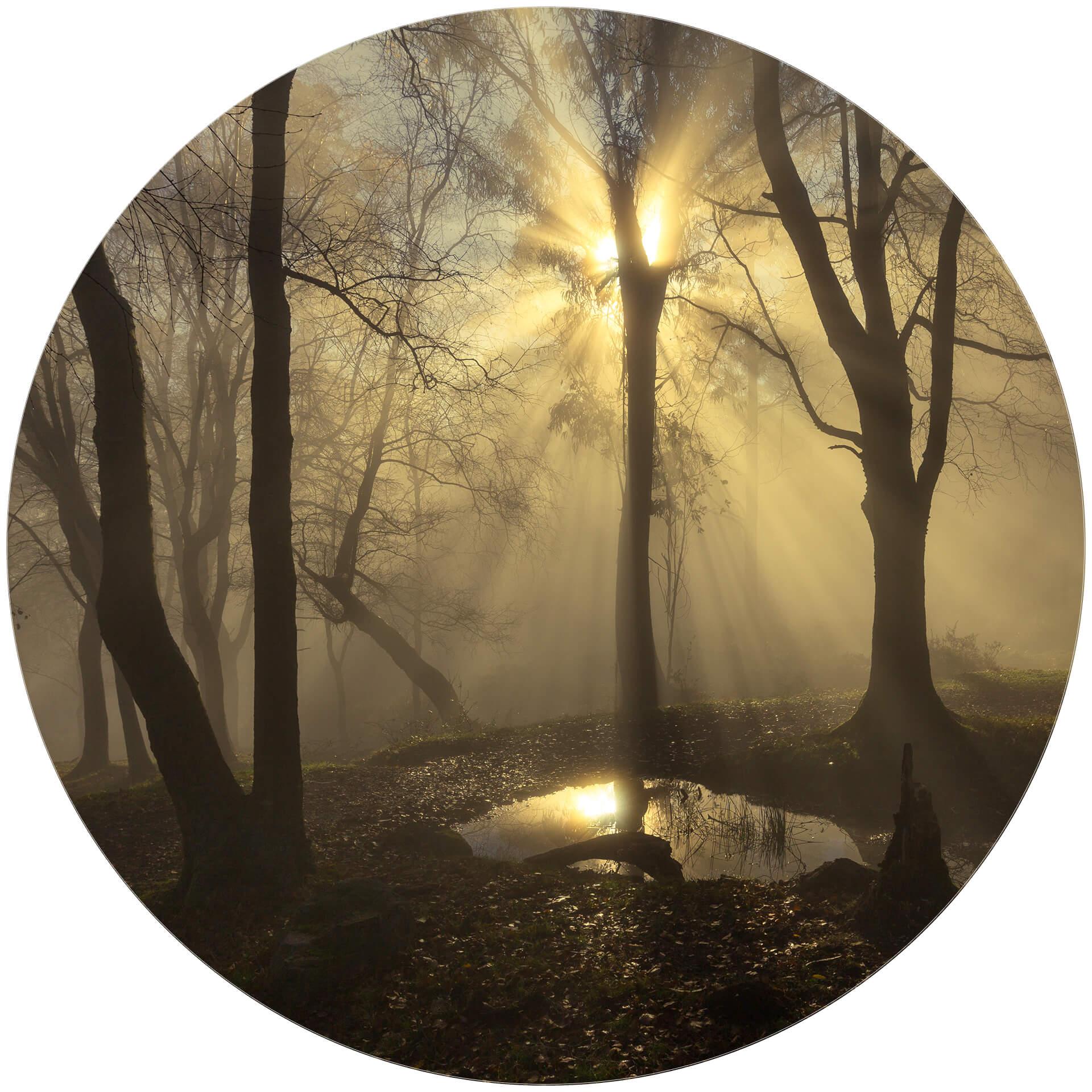 Behangcirkel Cuadrado - Light - vliesbehang/zelfklevend vliesbehang