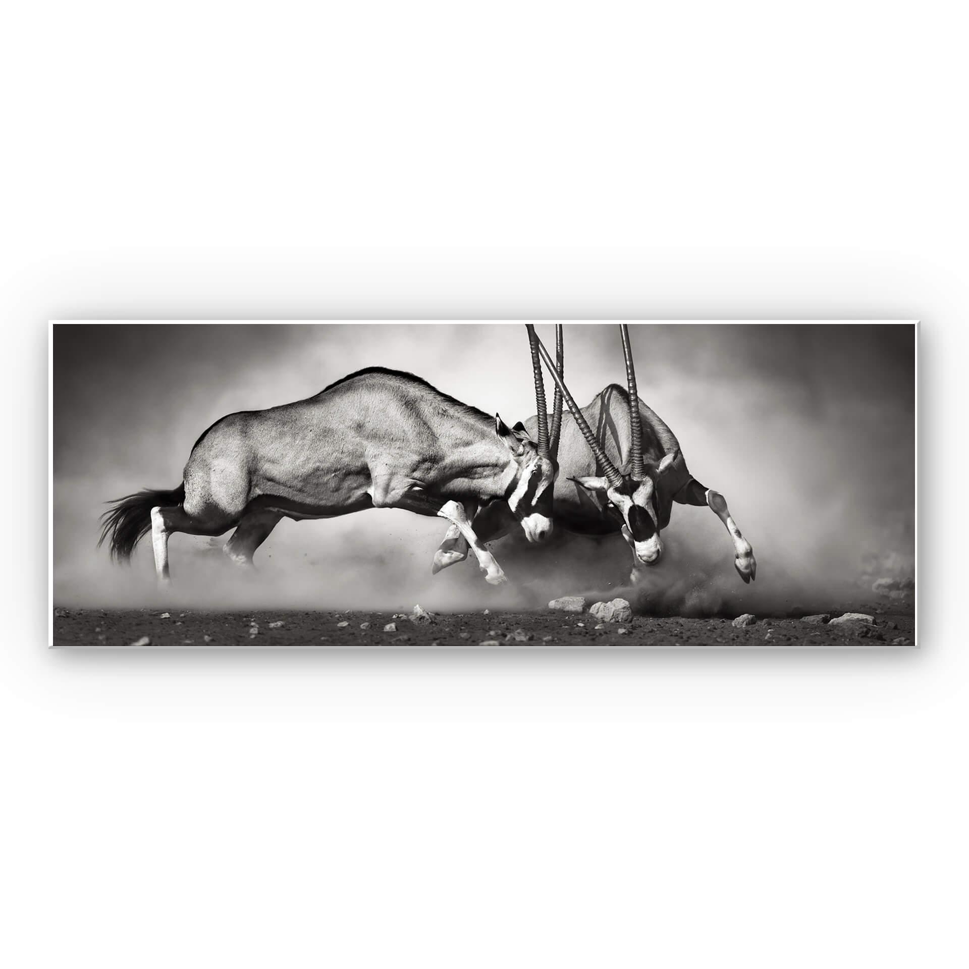 Tableau Forex - Le duel - Panorama