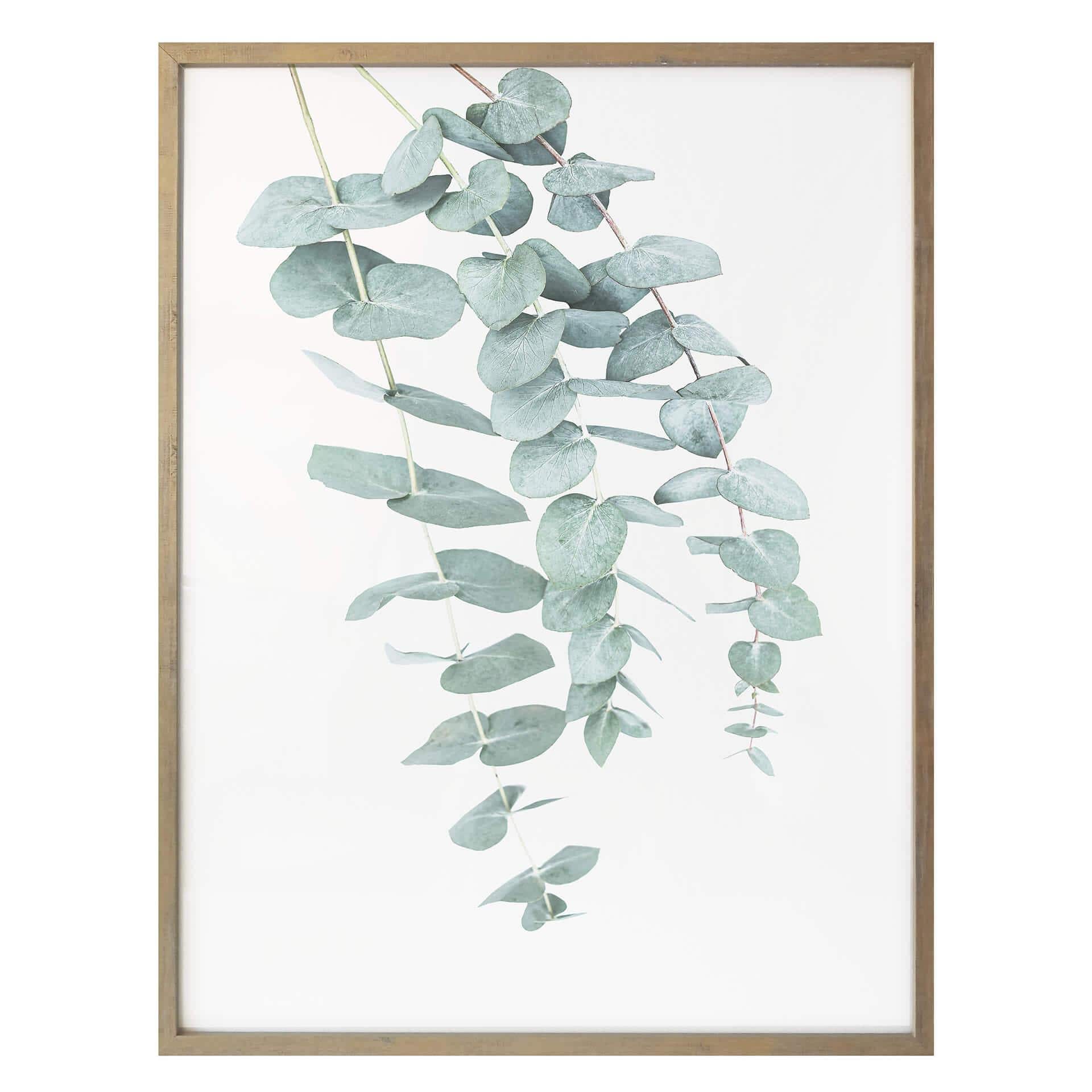 Plakat - Sisi & Seb - Eukalyptus: flere grene