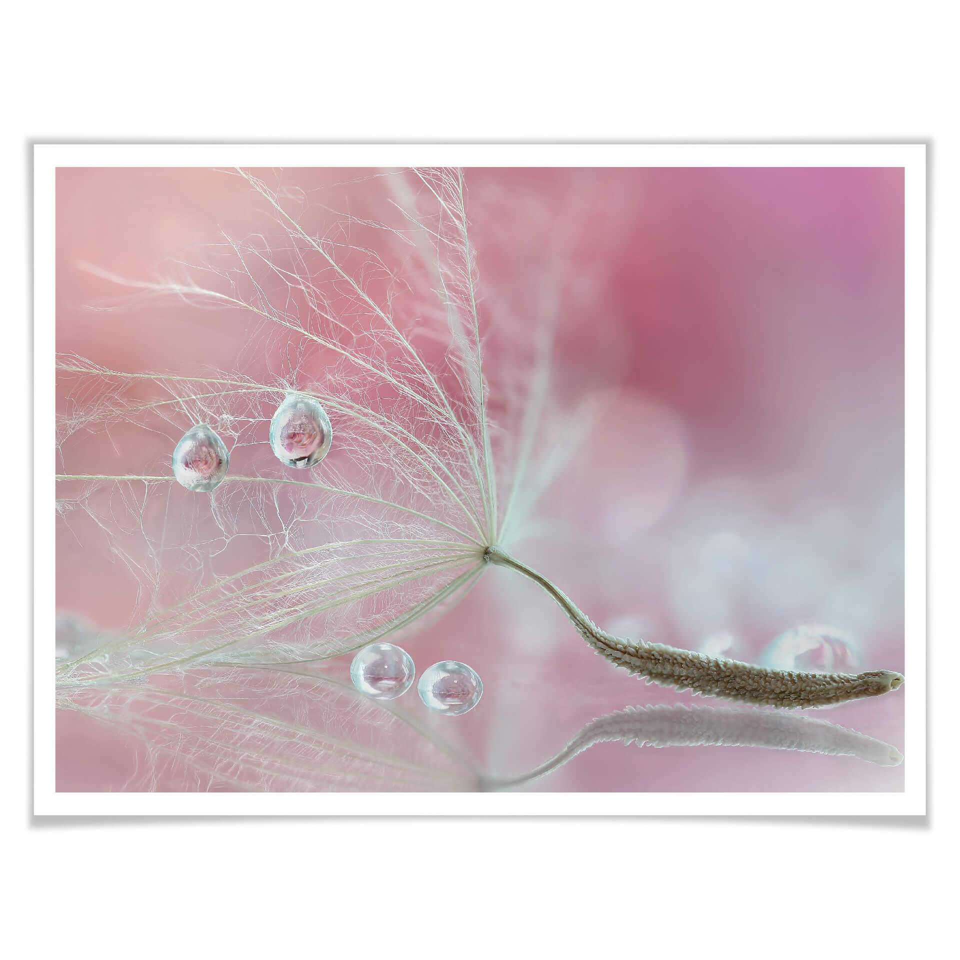 Plakat Barbieri - Two of us - Dandelion