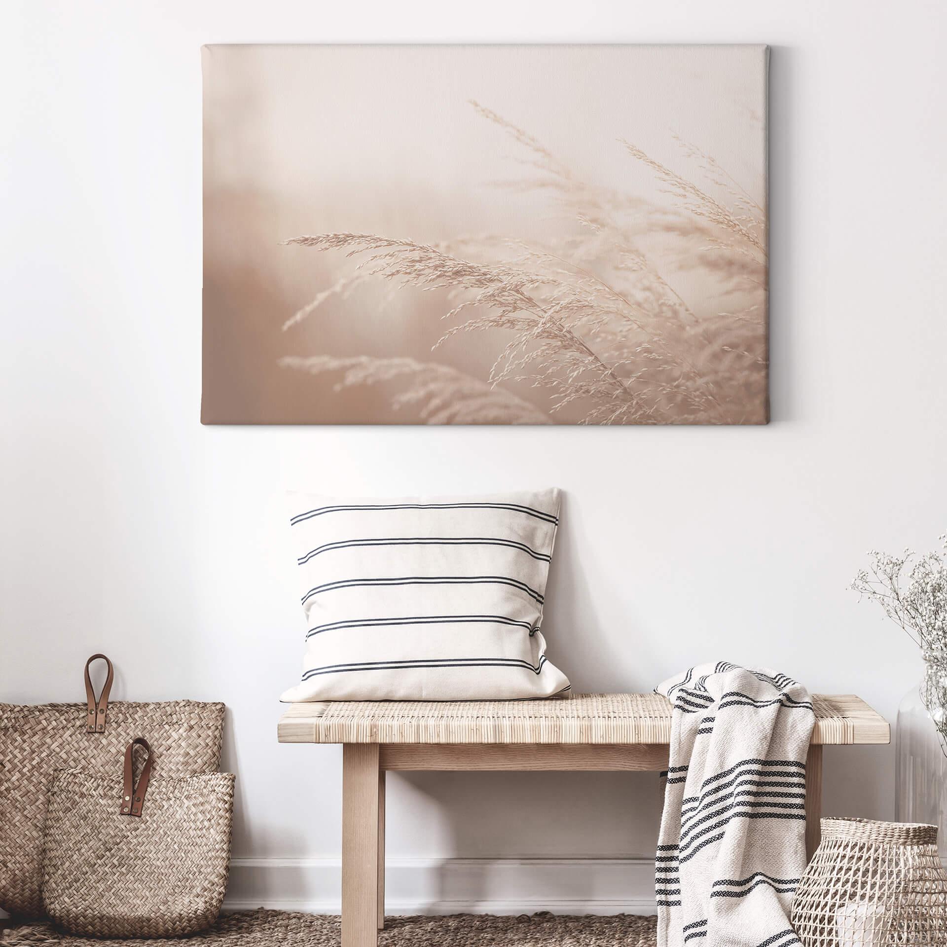Canvas Morning Light