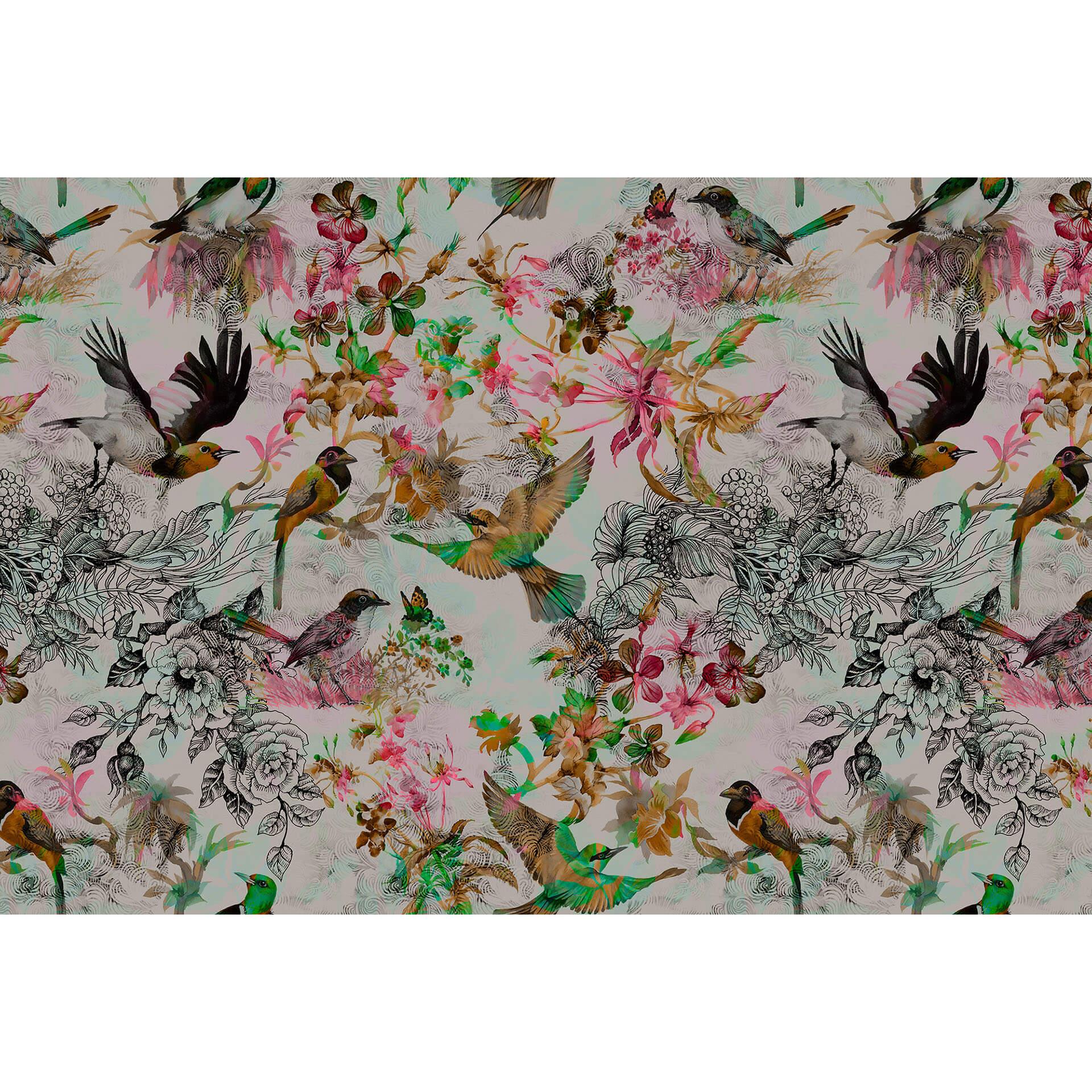 Livingwalls Fotobehang Walls by Patel funky birds 1