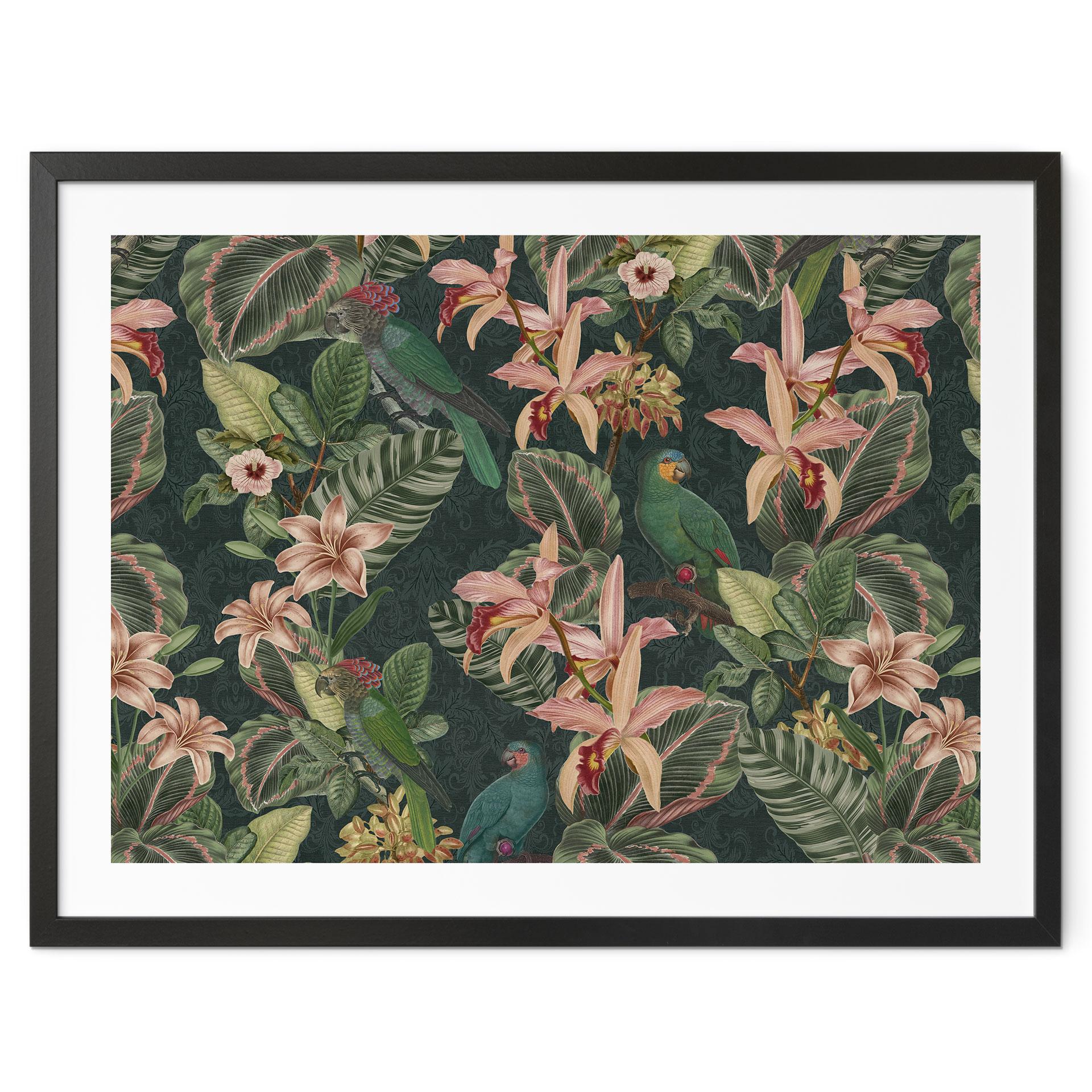 Naturplakat jungle med papegøjer natgrøn - Bloomery Decor
