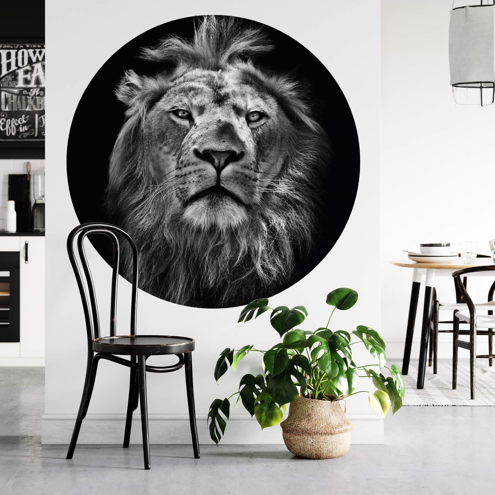 Fototapet - Rundt Lion  - vliesetapet/selvklæbende non-woven tapet