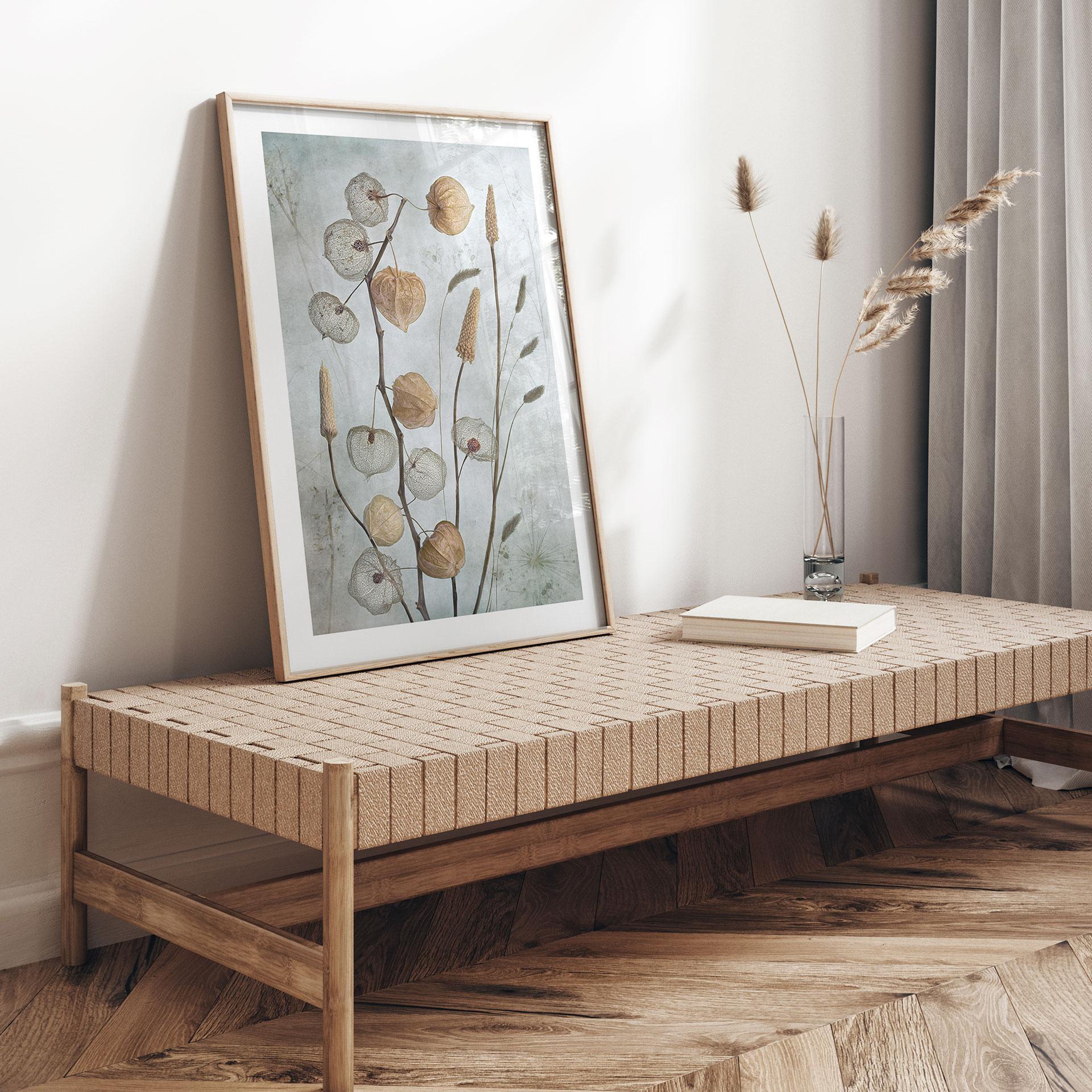 Plakat Tørrede lanterneblomster - Disher