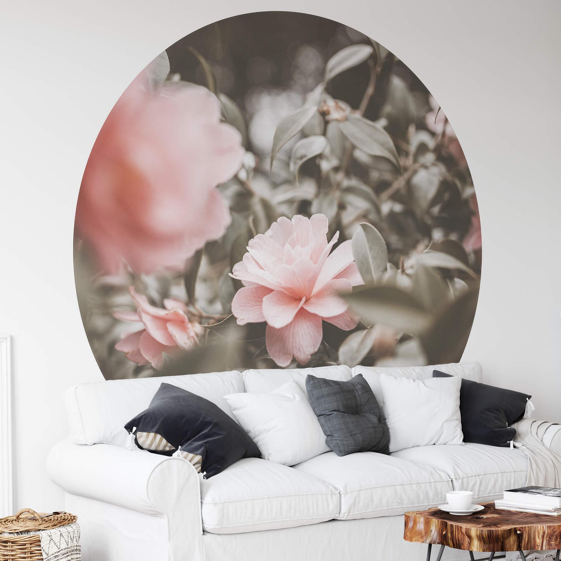 Fototapet - Rundt Annie - Rose Blossom - vliesetapet/selvklæbende non-woven tapet