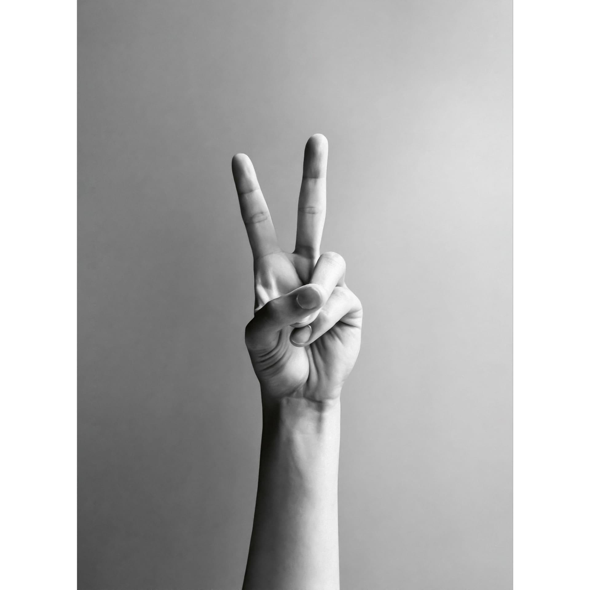 Fotomural Victory Hand - Signo de paz y victoria - Bühler