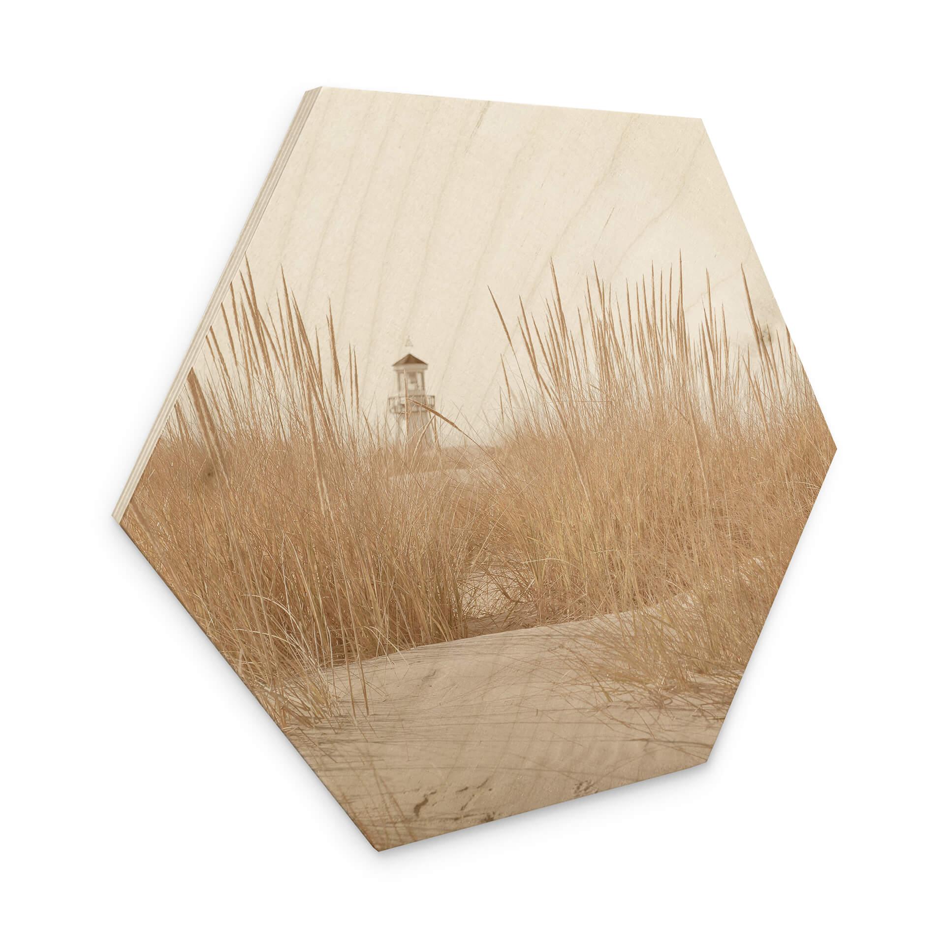 Hexagone - Bois Phare dans l'herbe des dunes