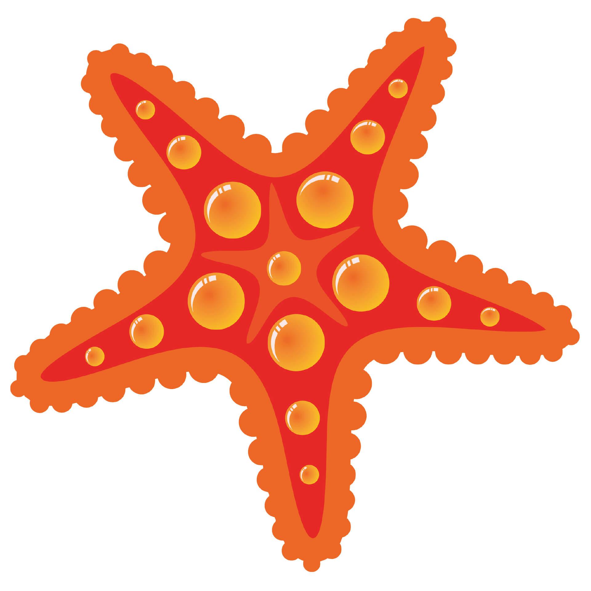 Muursticker Zeesterren