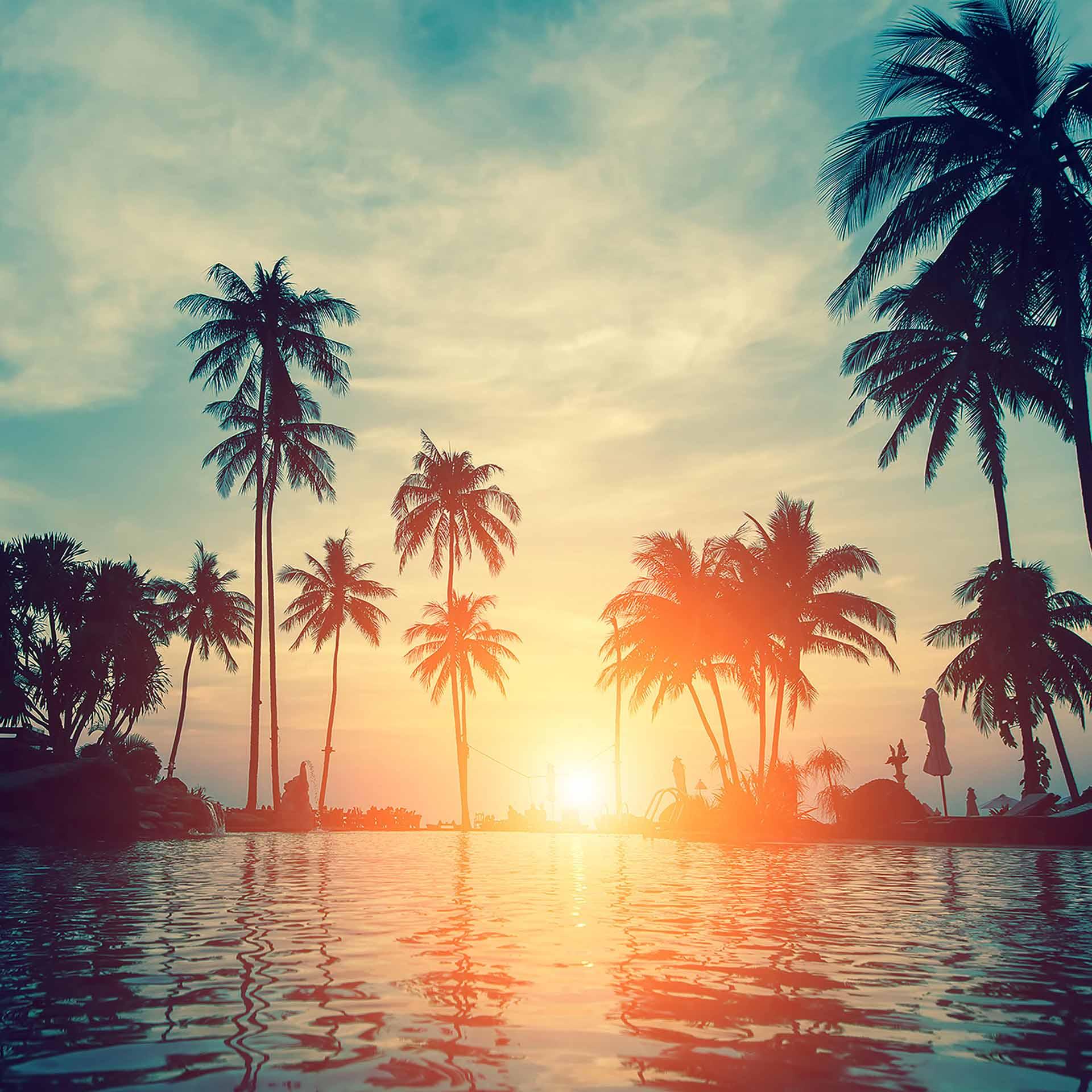 Sunset&Palms palmbomen behang in turquoise zwart - vliesbehang Designwalls 2 - 2,55 x 3,5 m