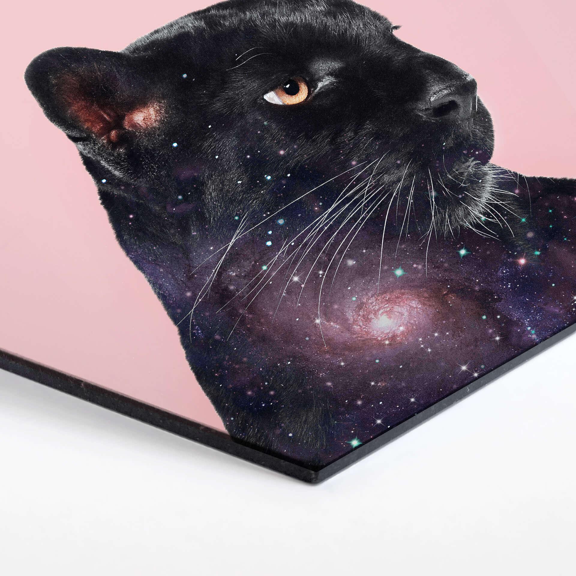 Esagoni in Alu-dibond Loose – Galaxy Panther