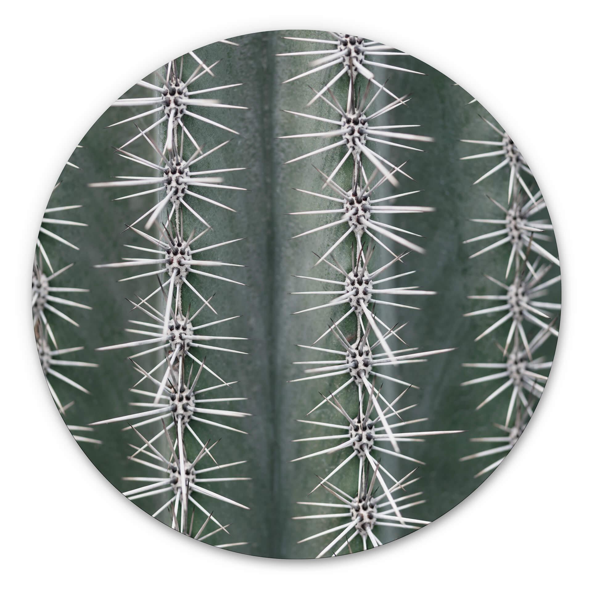 Tableau sur alu-Dibond rond 1X Studio - Cactus