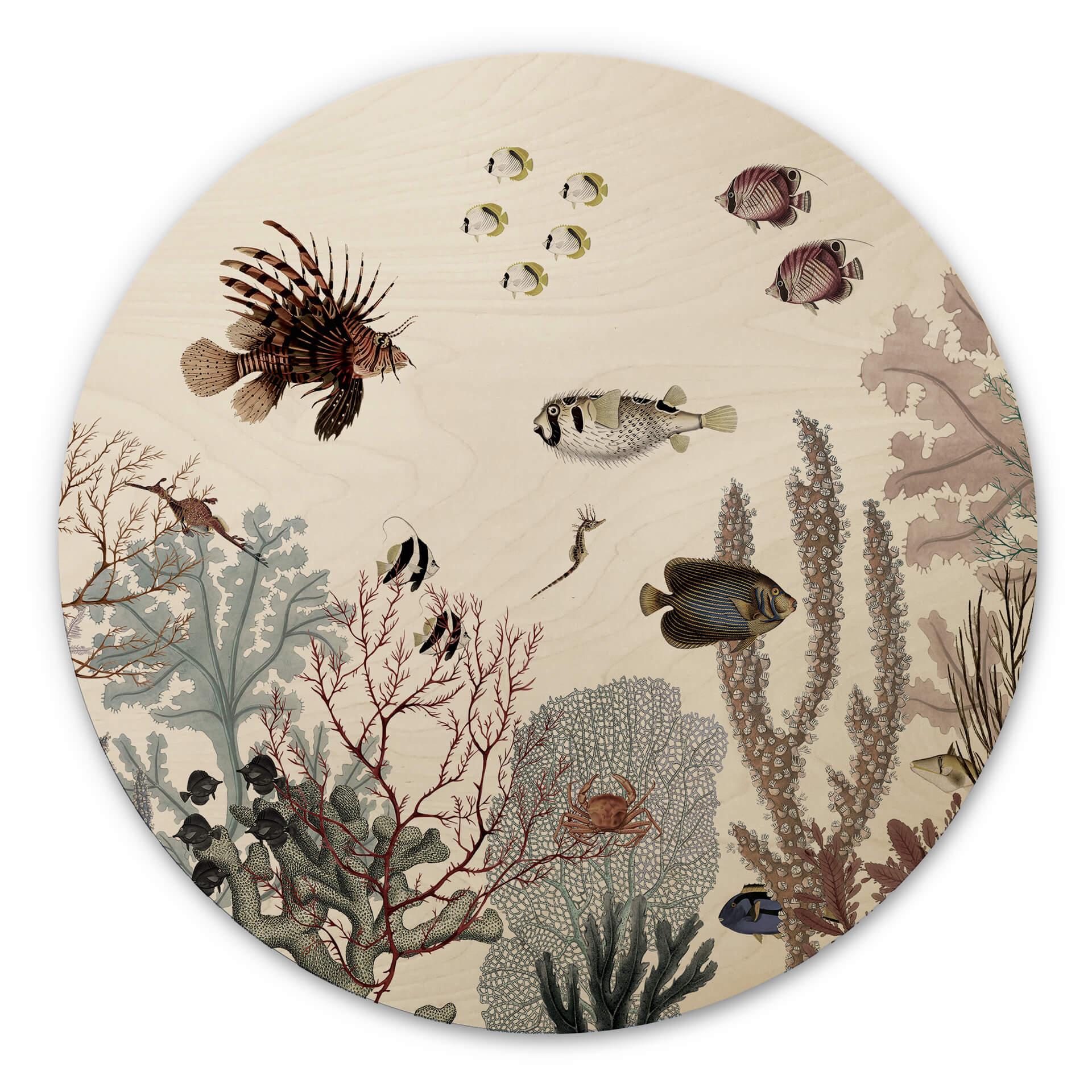 Billede af træ Sir Edward - Roaring Reef - Rundt