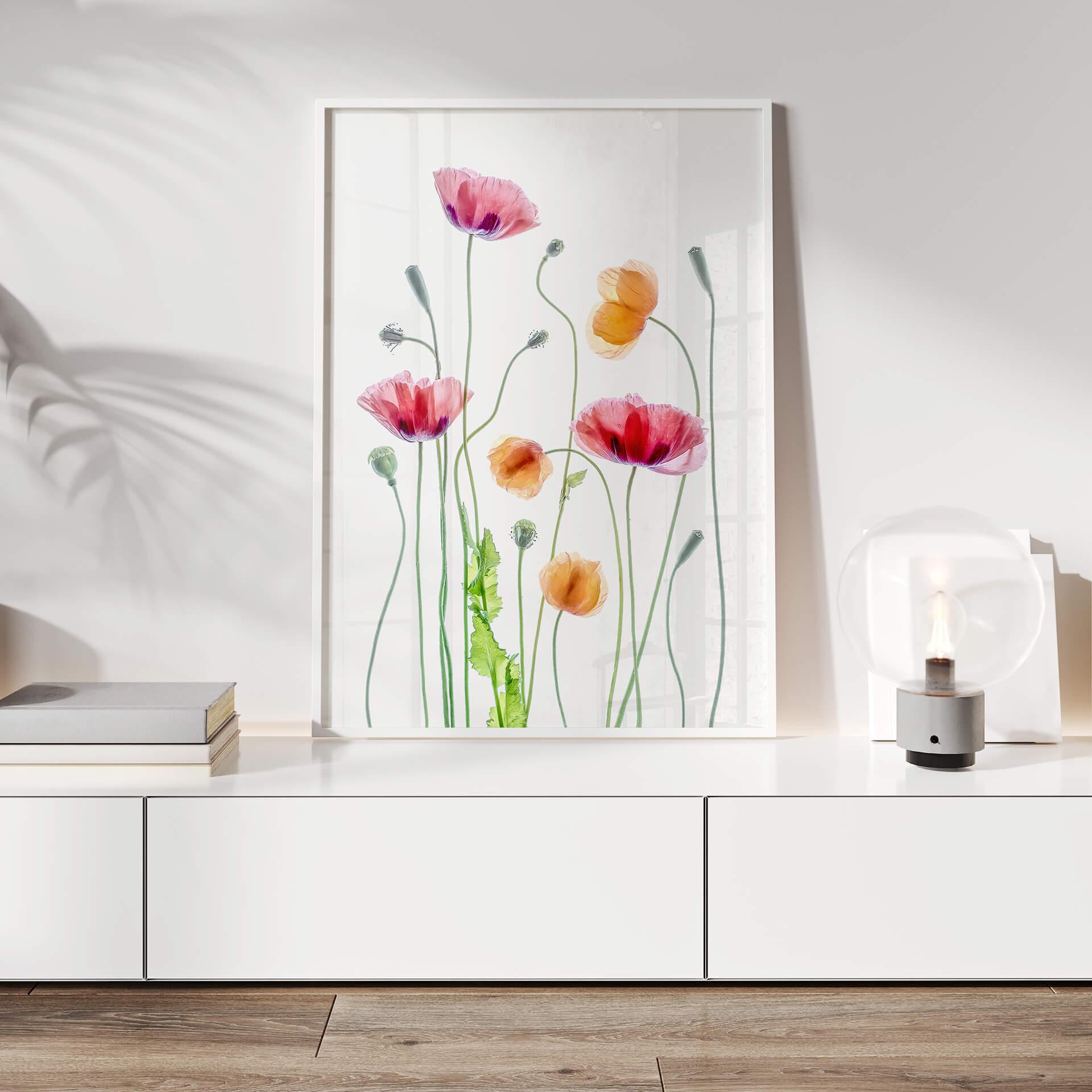 Plakat Disher - Colourful Poppies