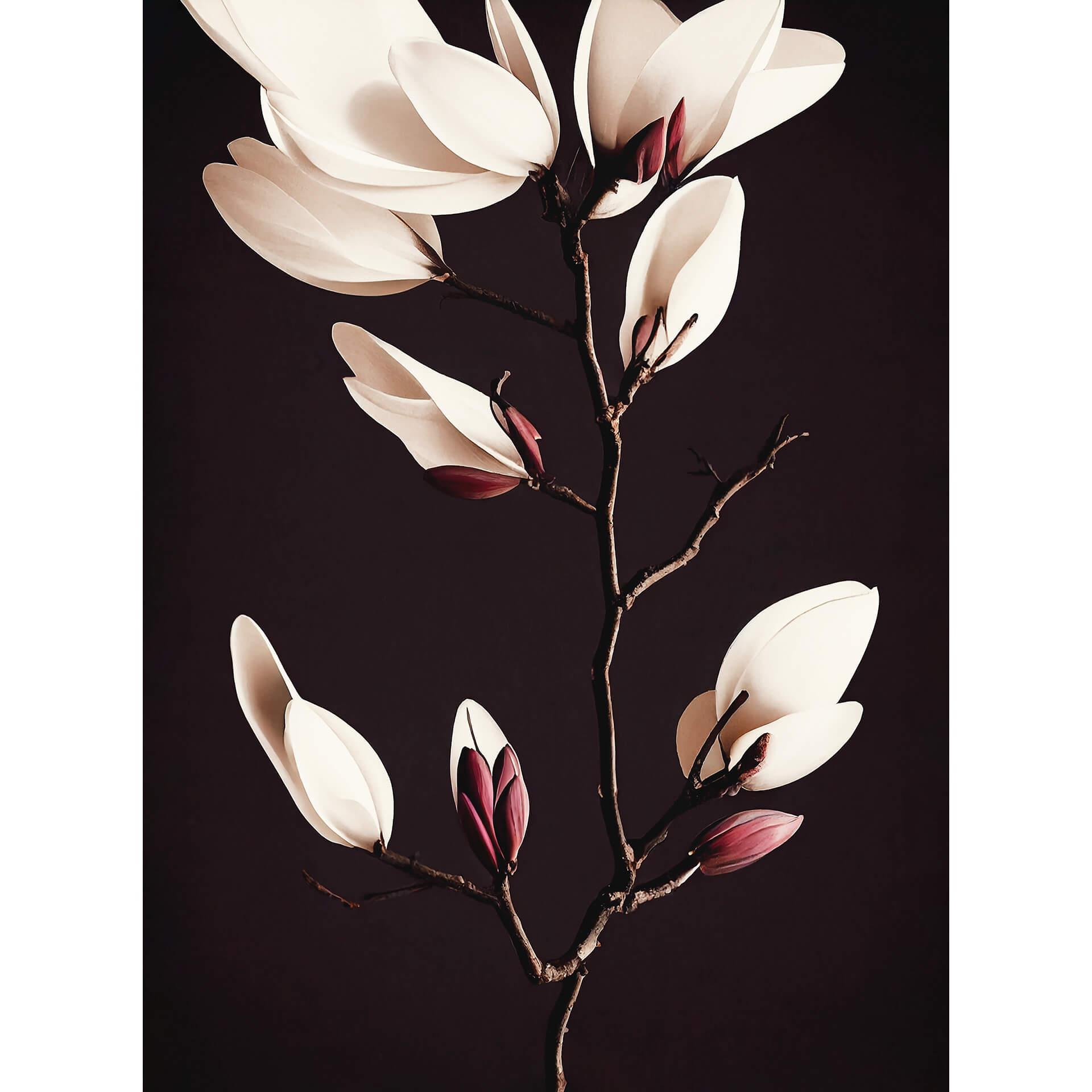 Fotobehang Treechild - Magnolia Blossoms