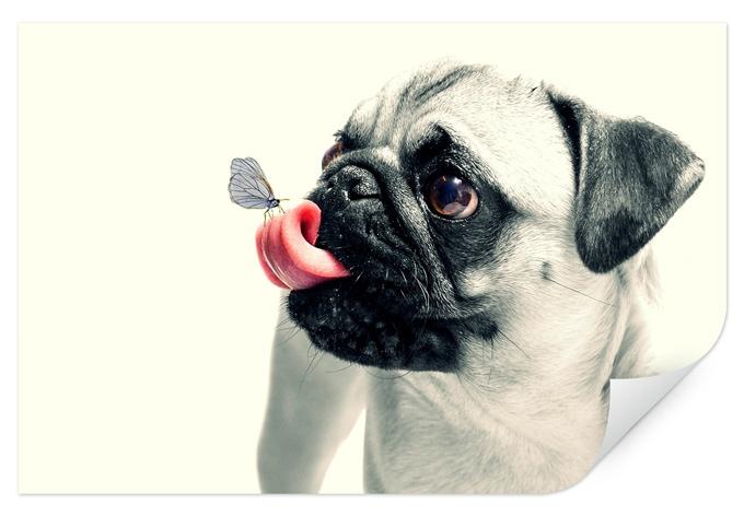 Zelfklevende Poster - Animal Affection