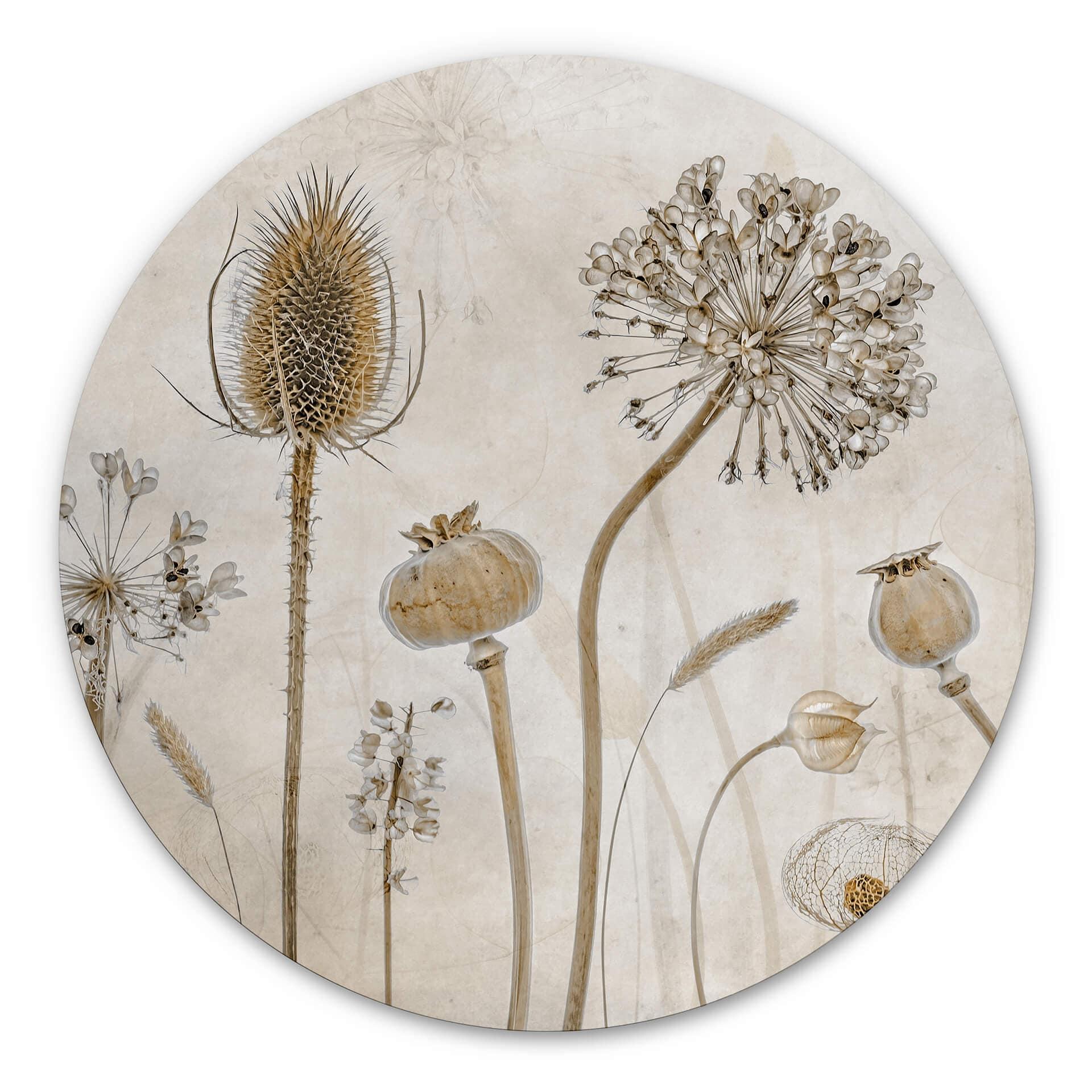 Tableau sur alu-Dibond rond Disher - fleurs séchées