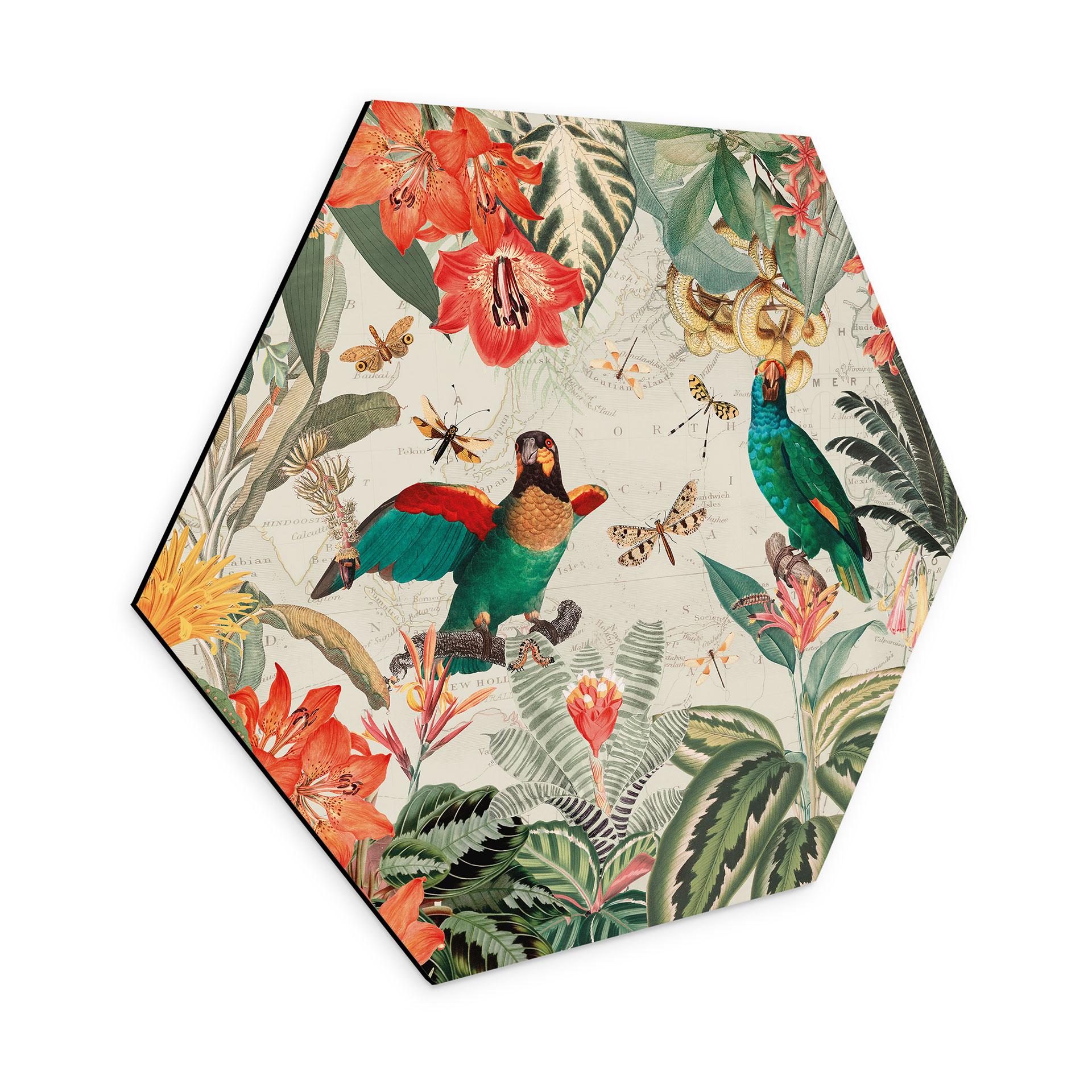 Hexagon Dibond Eksotisk jungle med papegøjer - UN Designs