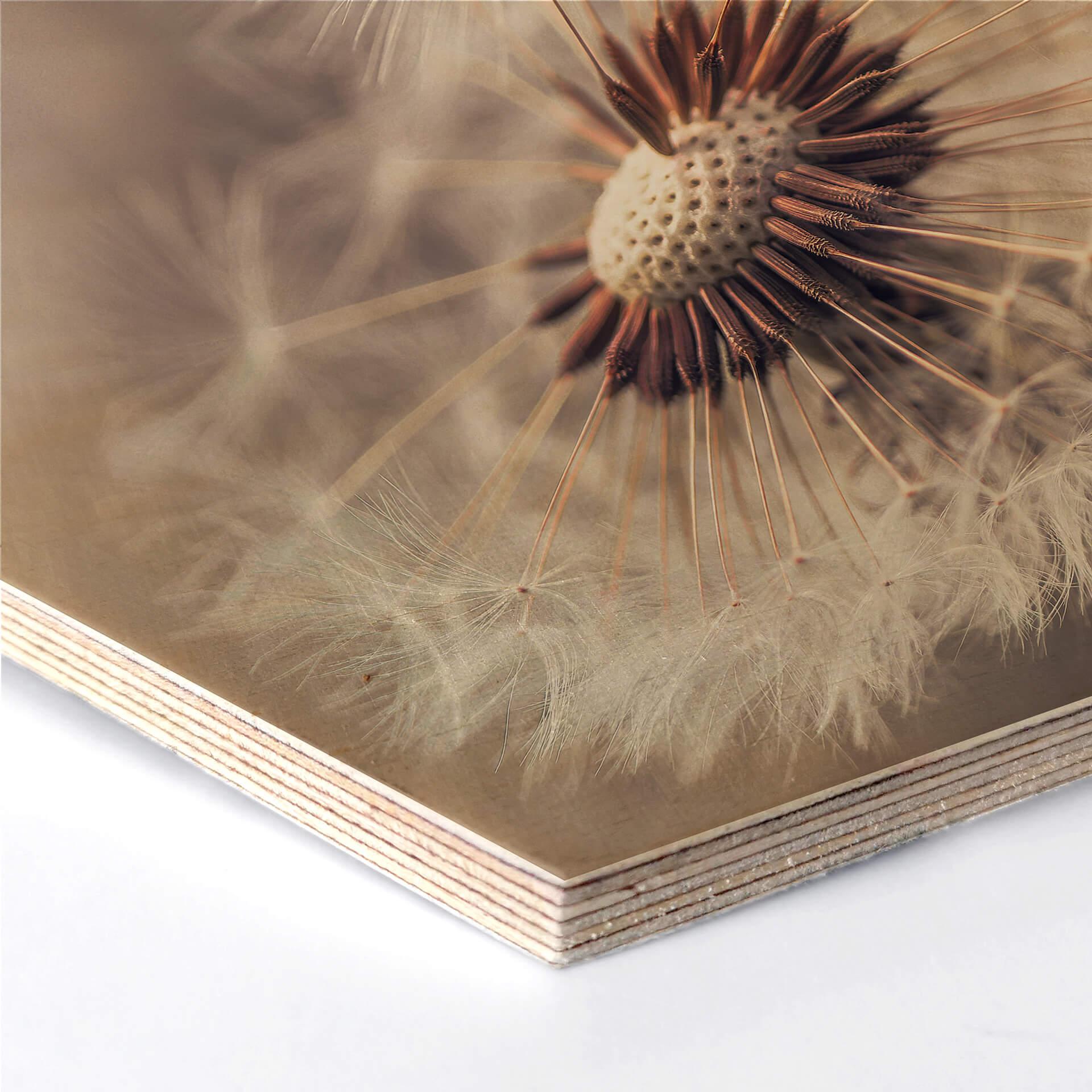 Hexagon - Holz Birke-Furnier Delgado - Pusteblume