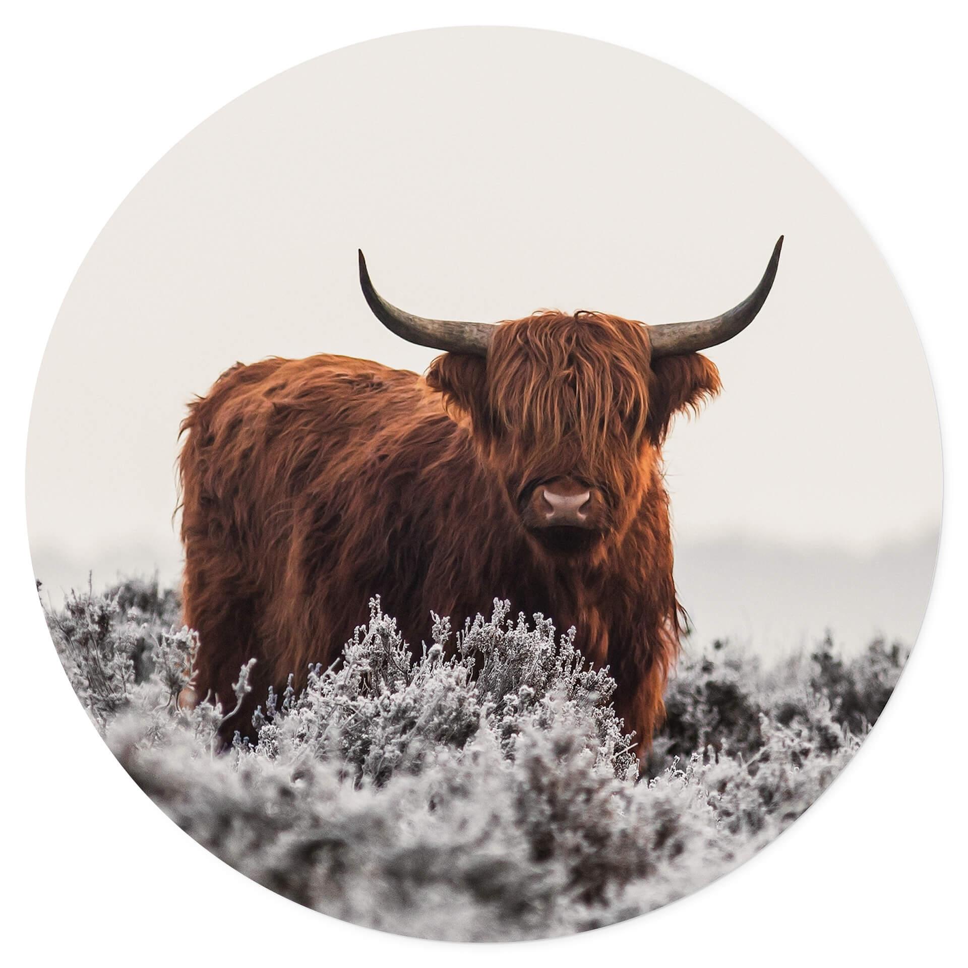 Vinilo decorativo van den Helm - Highlander - Redondo