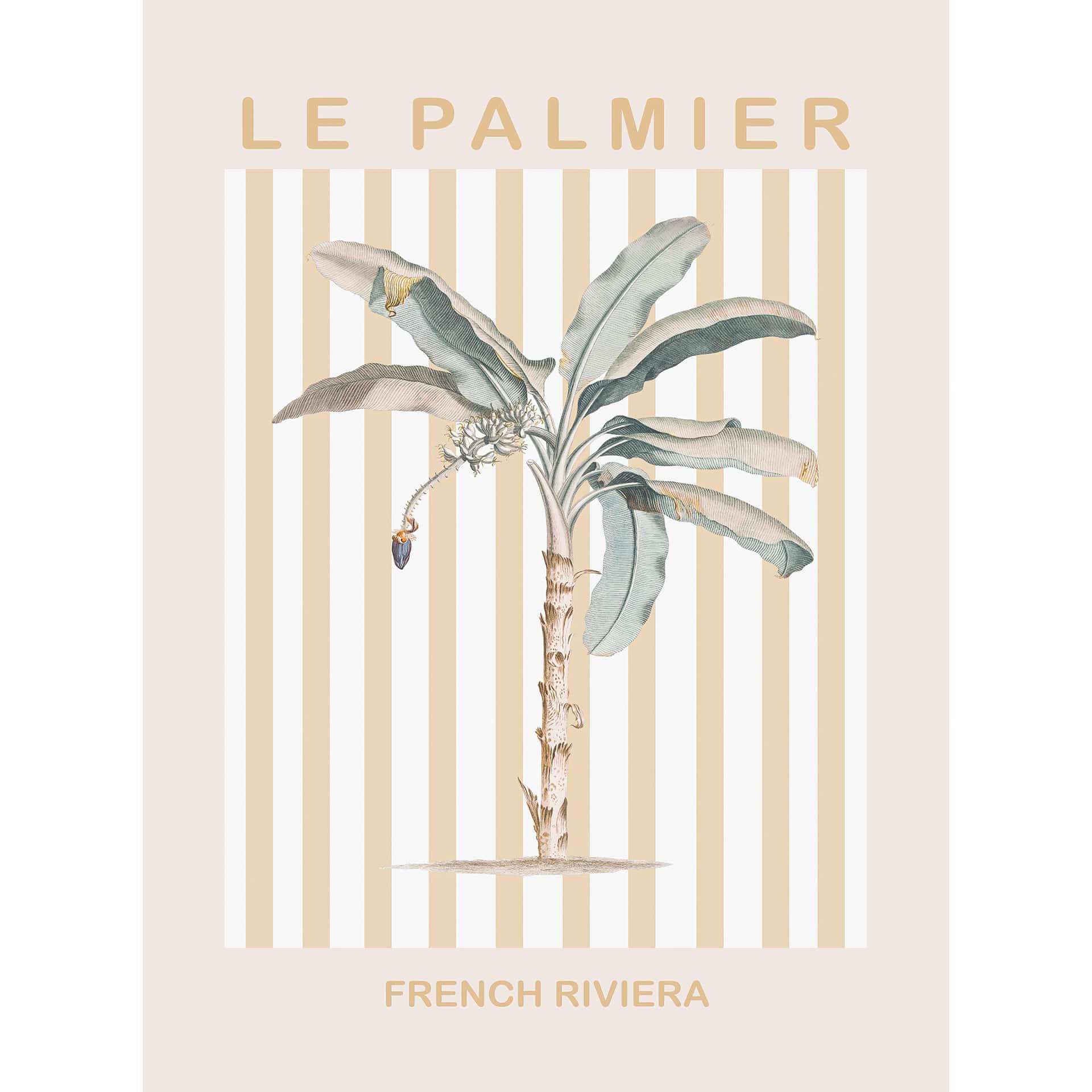 Fotobehang Palmboom aan de Franse Rivièra - Grace Digital Art