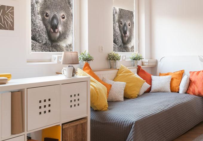 Película de privacidad Koala de peluche - cuadrado