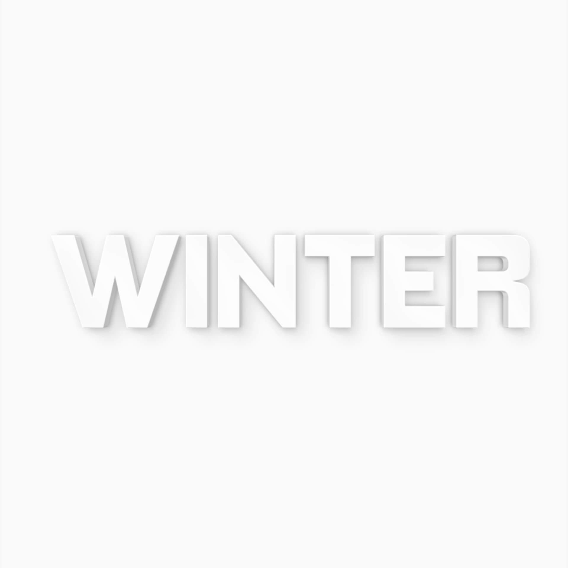 3D WINTER (stilfuldt julepynt)