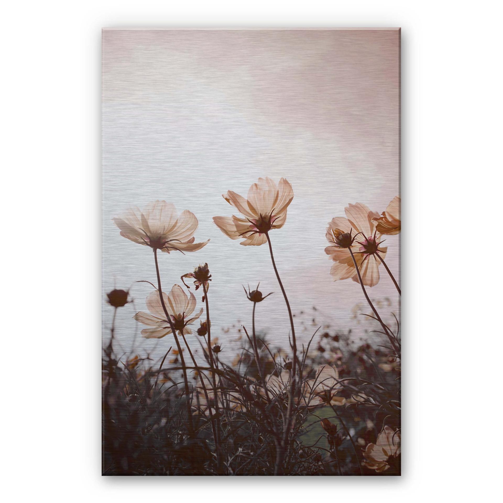 Alu-dibond zilver - Wilde Bloemen